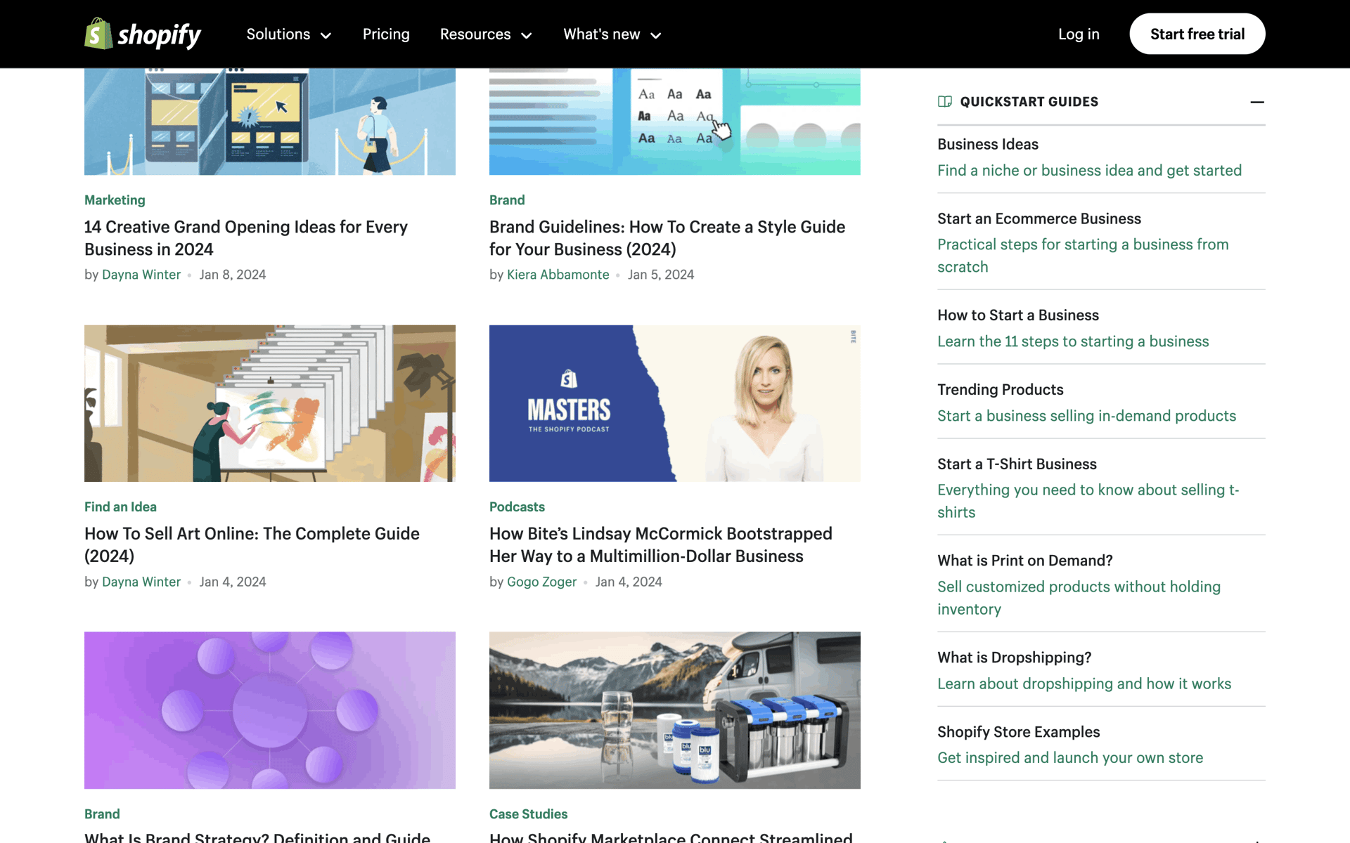 Shopify Web Business interface screenshot 2