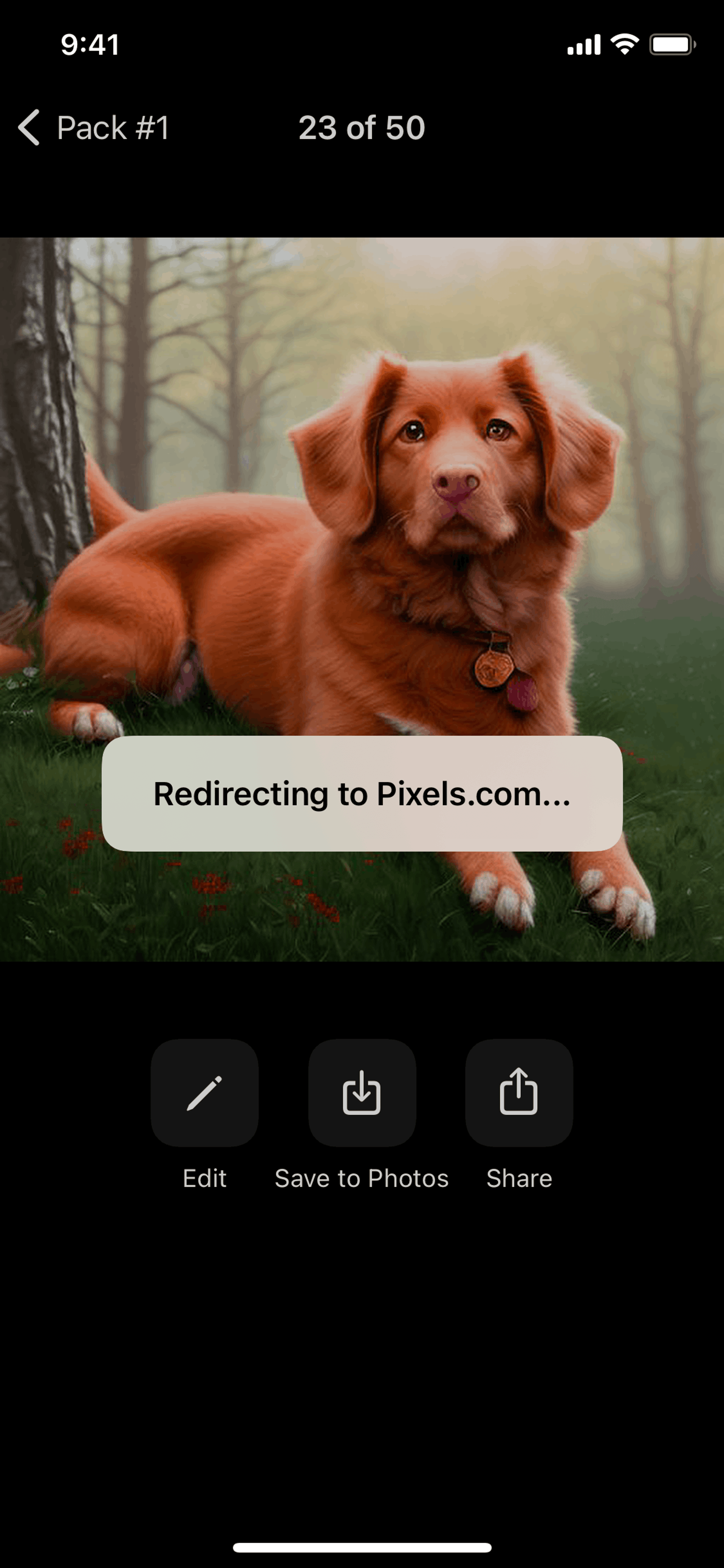 Lensa AI iOS Photo & Video interface screenshot 24