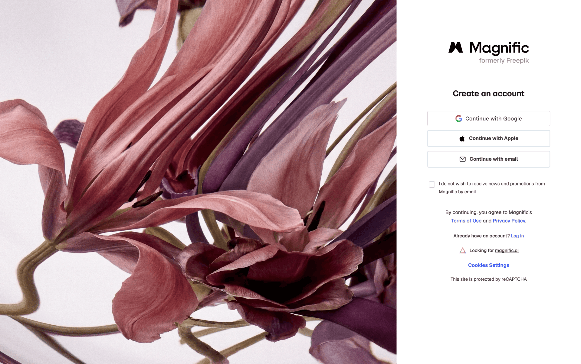Magnific Web Photo & Video interface screenshot 2