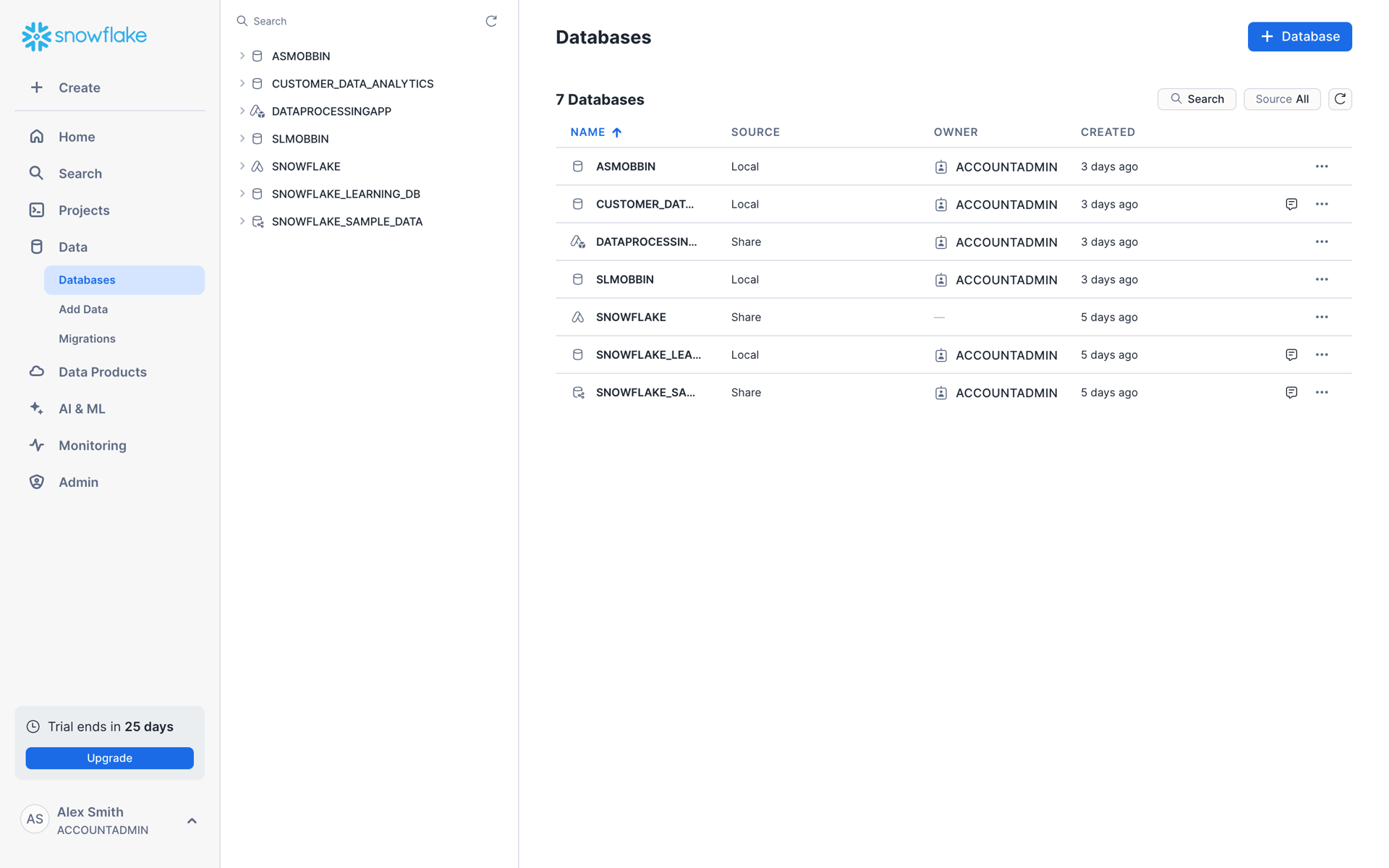 Snowflake Web Developer Tools interface screenshot 10