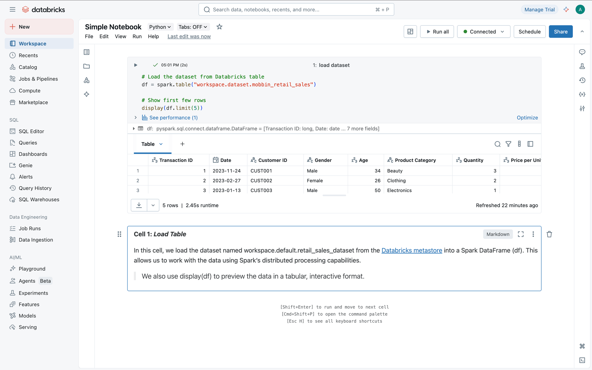 Databricks Web Developer Tools interface screenshot 22