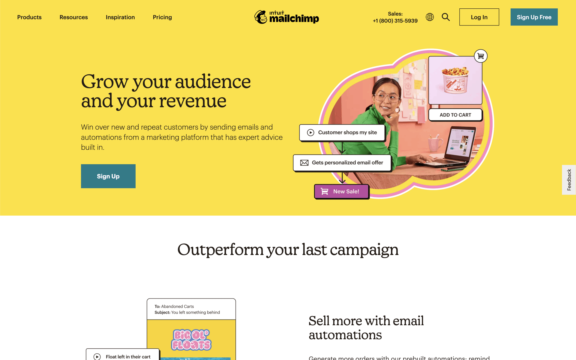 Mailchimp Web Business interface screenshot 1