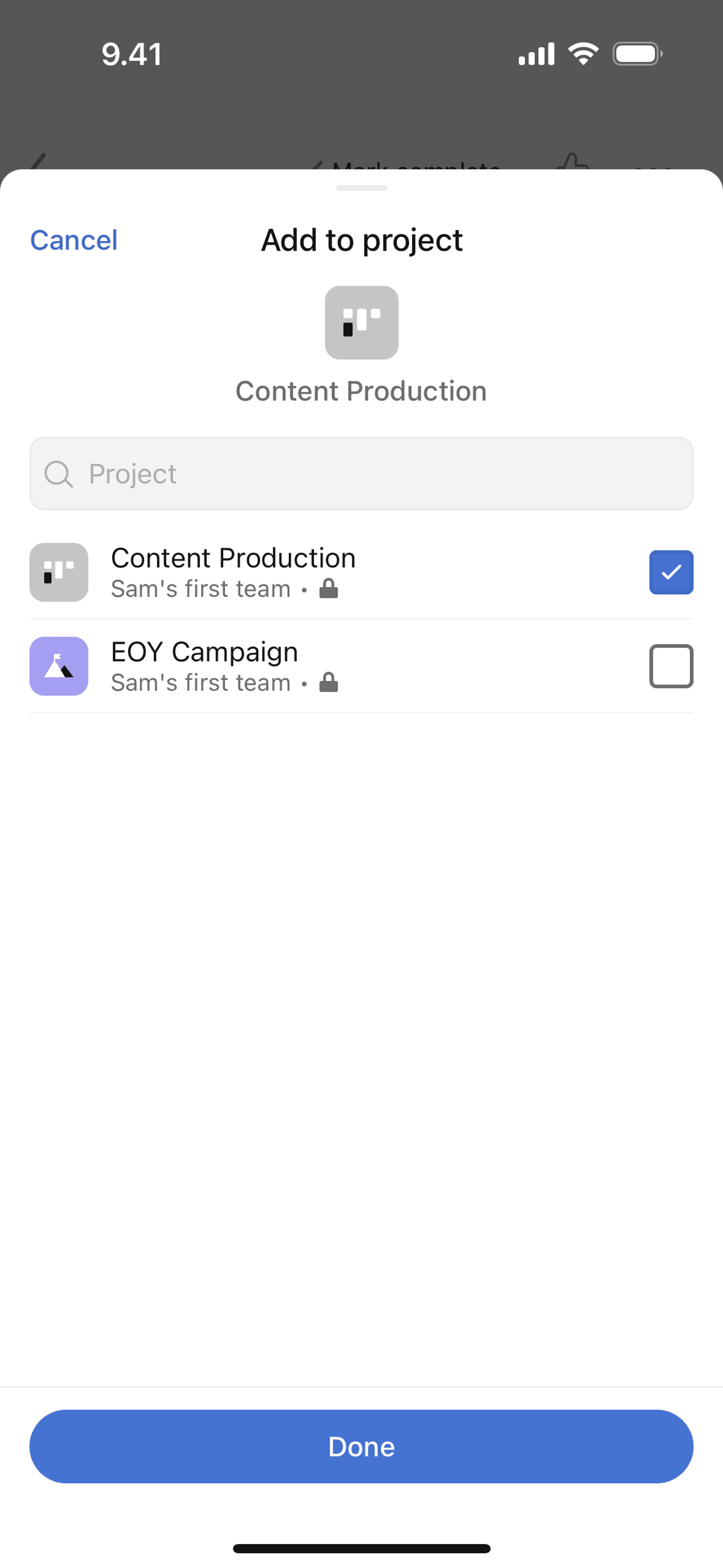 Asana iOS Business interface screenshot 20