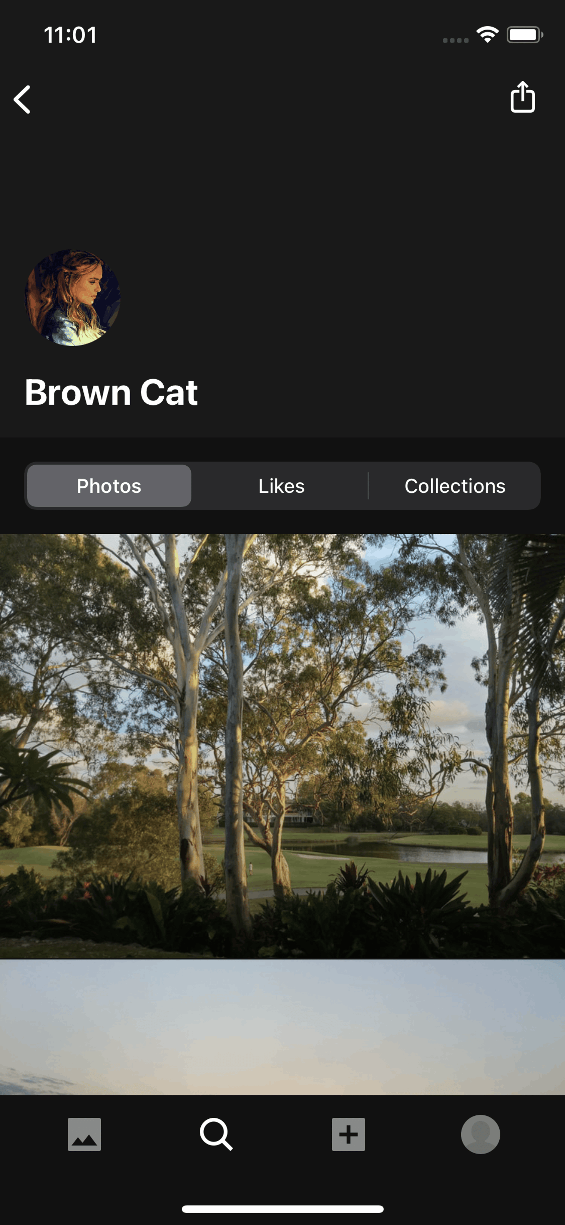 Unsplash iOS Photo & Video interface screenshot 14