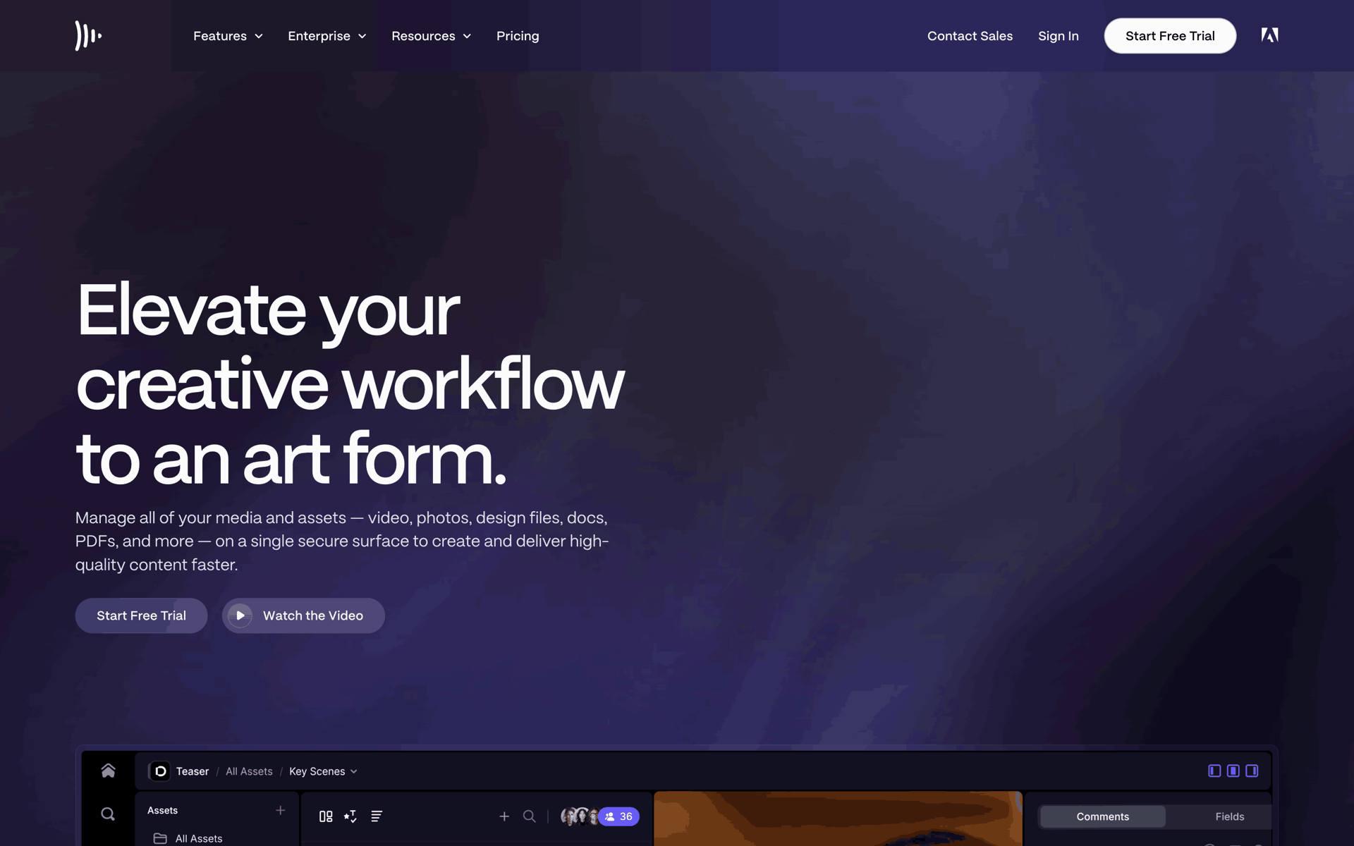 Frame.io Web Photo & Video interface screenshot 2