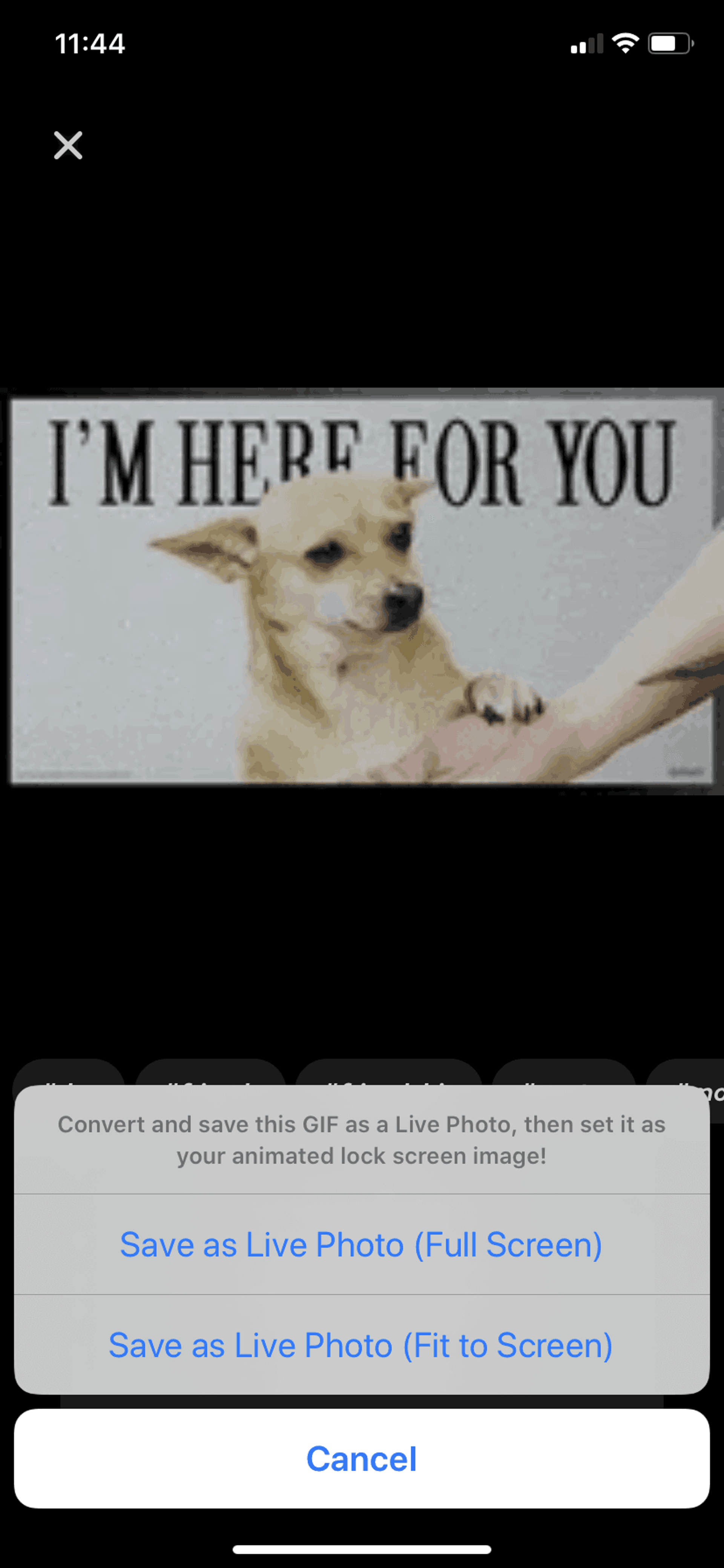 GIPHY iOS Photo & Video interface screenshot 22