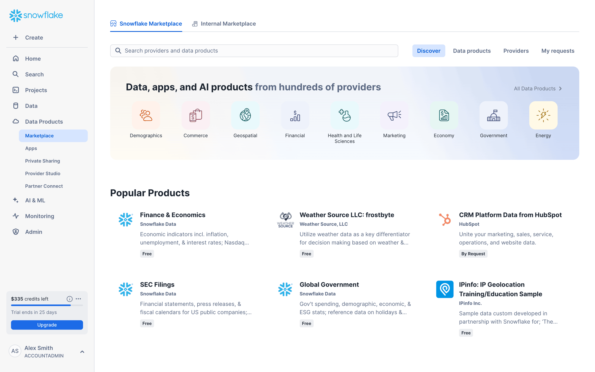 Snowflake Web Developer Tools interface screenshot 13
