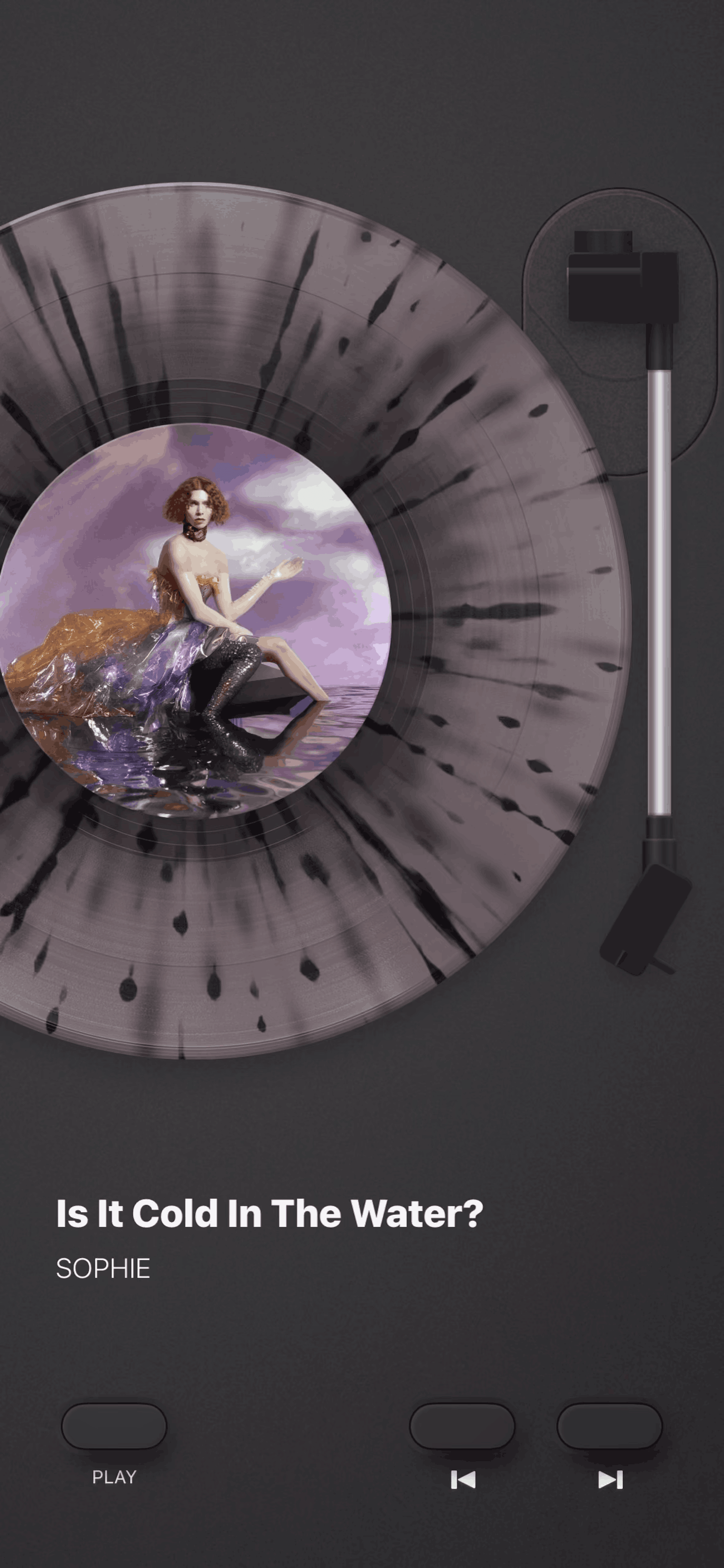 MD Vinyl iOS Music & Audio interface screenshot 9