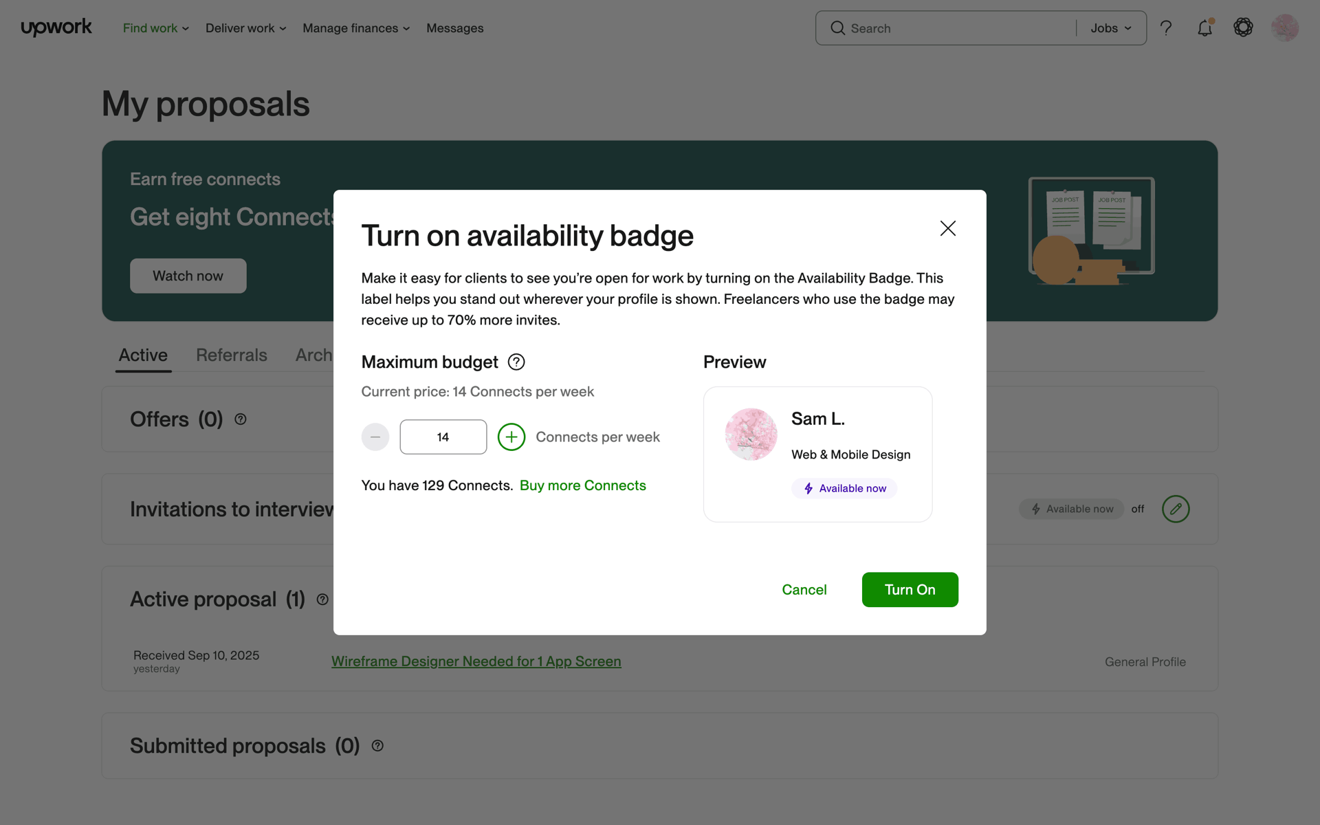 Upwork Web Business interface screenshot 14