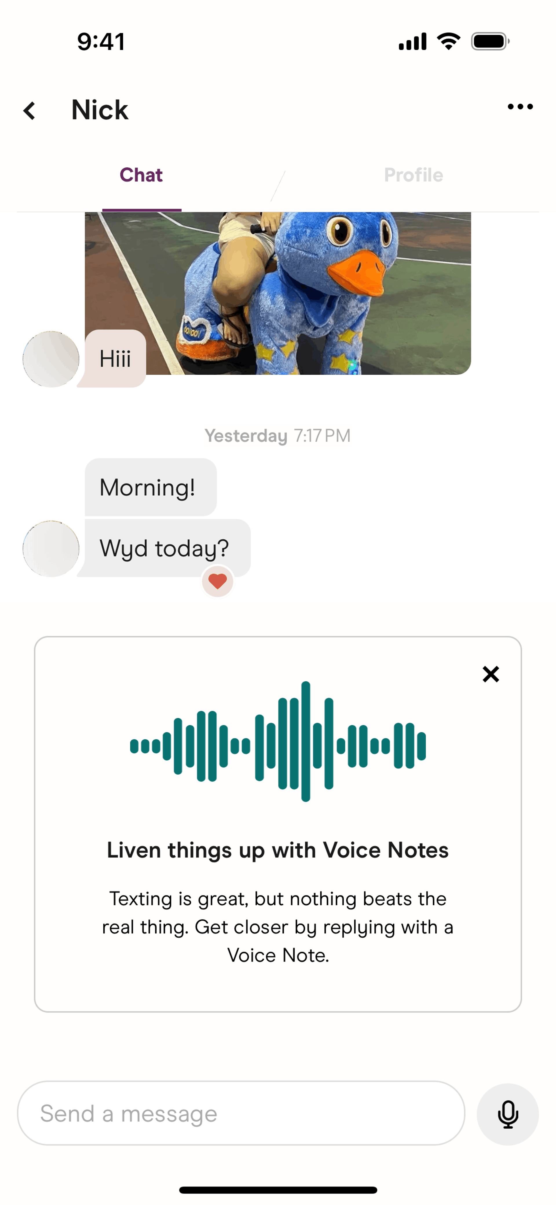 Hinge iOS Lifestyle interface screenshot 17