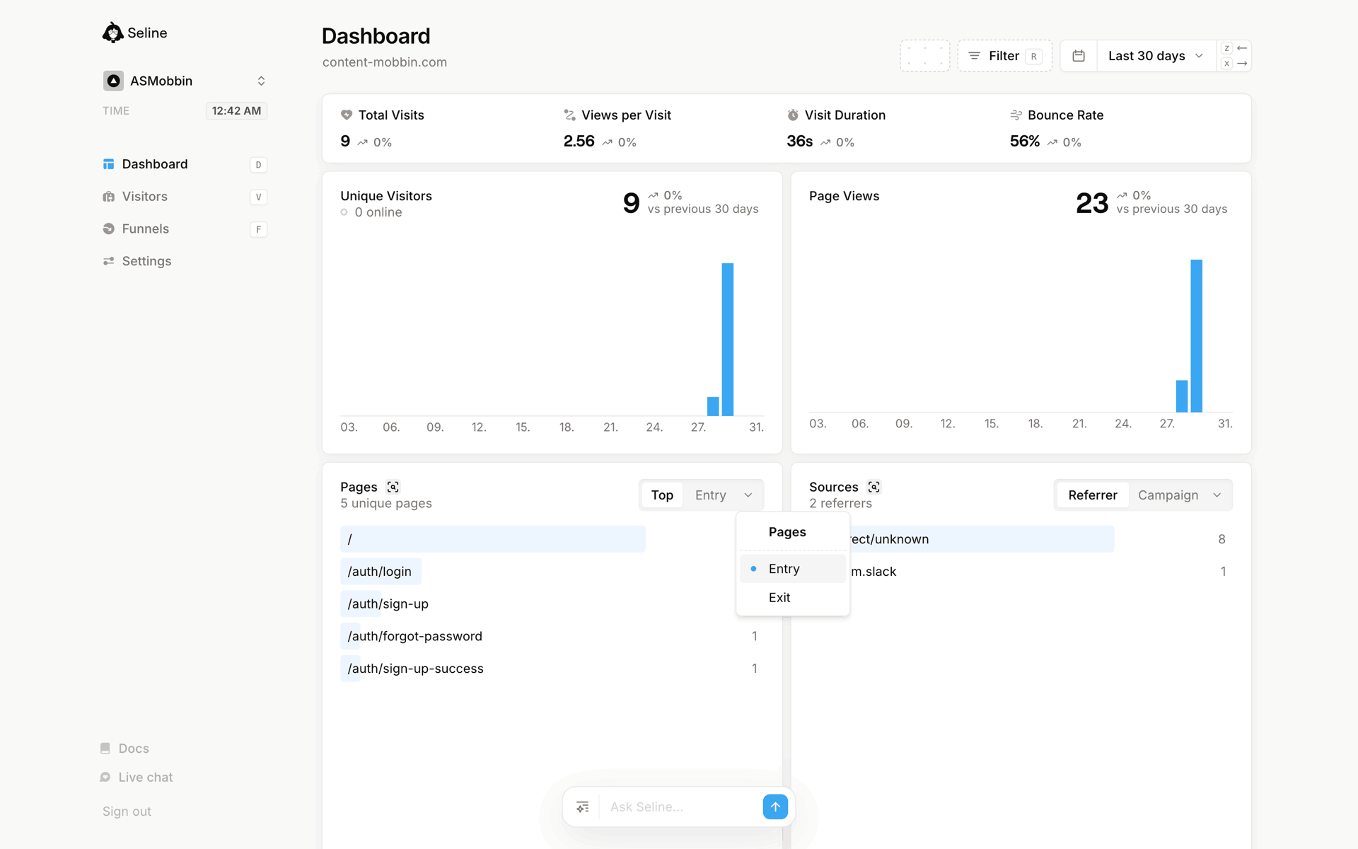 Seline Web Developer Tools interface screenshot 5