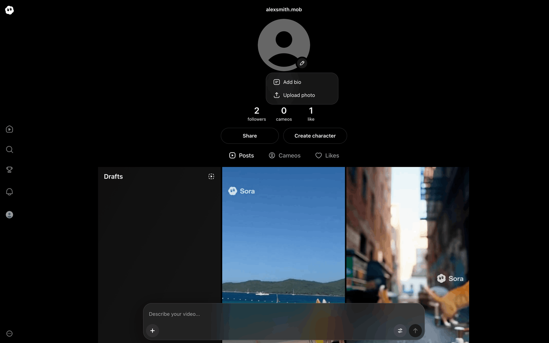 Sora Web AI interface screenshot 13