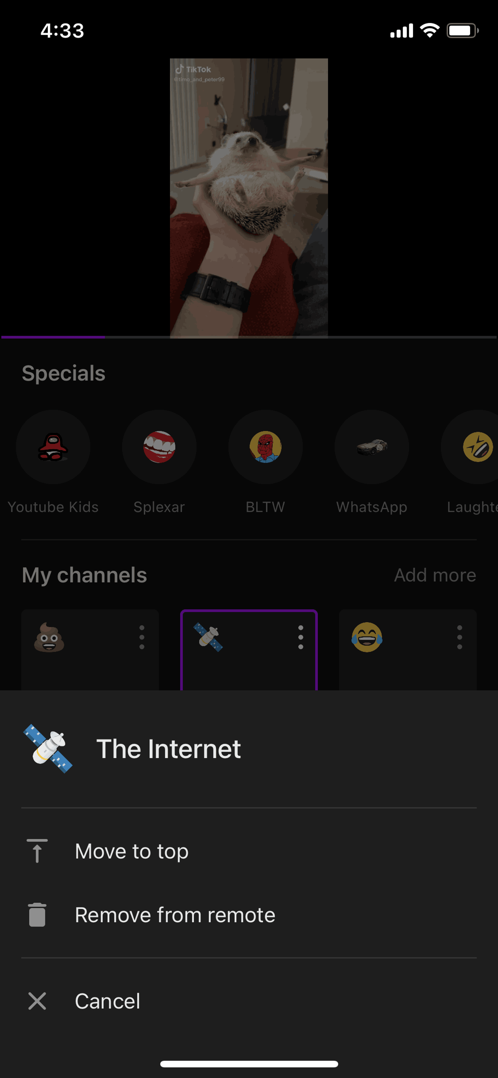 Neverthink iOS Entertainment interface screenshot 12