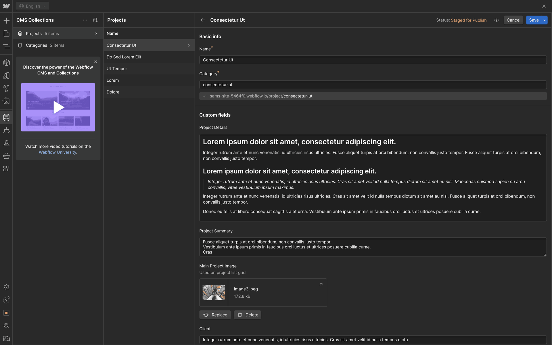 Webflow Web Productivity interface screenshot 17