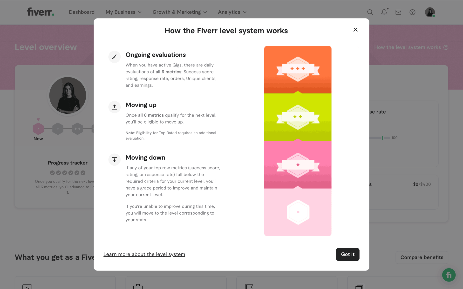 Fiverr Web Business interface screenshot 6