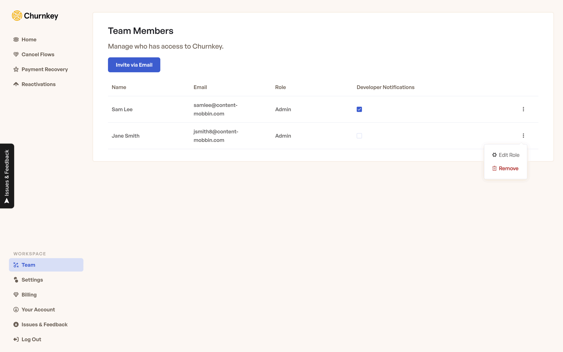 Churnkey Web Business interface screenshot 23