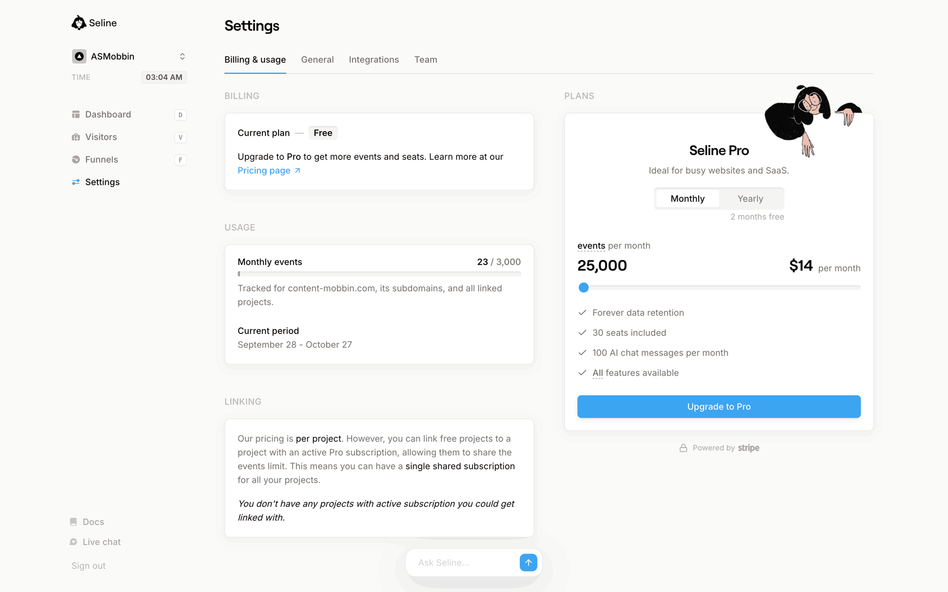 Seline Web Developer Tools interface screenshot 20
