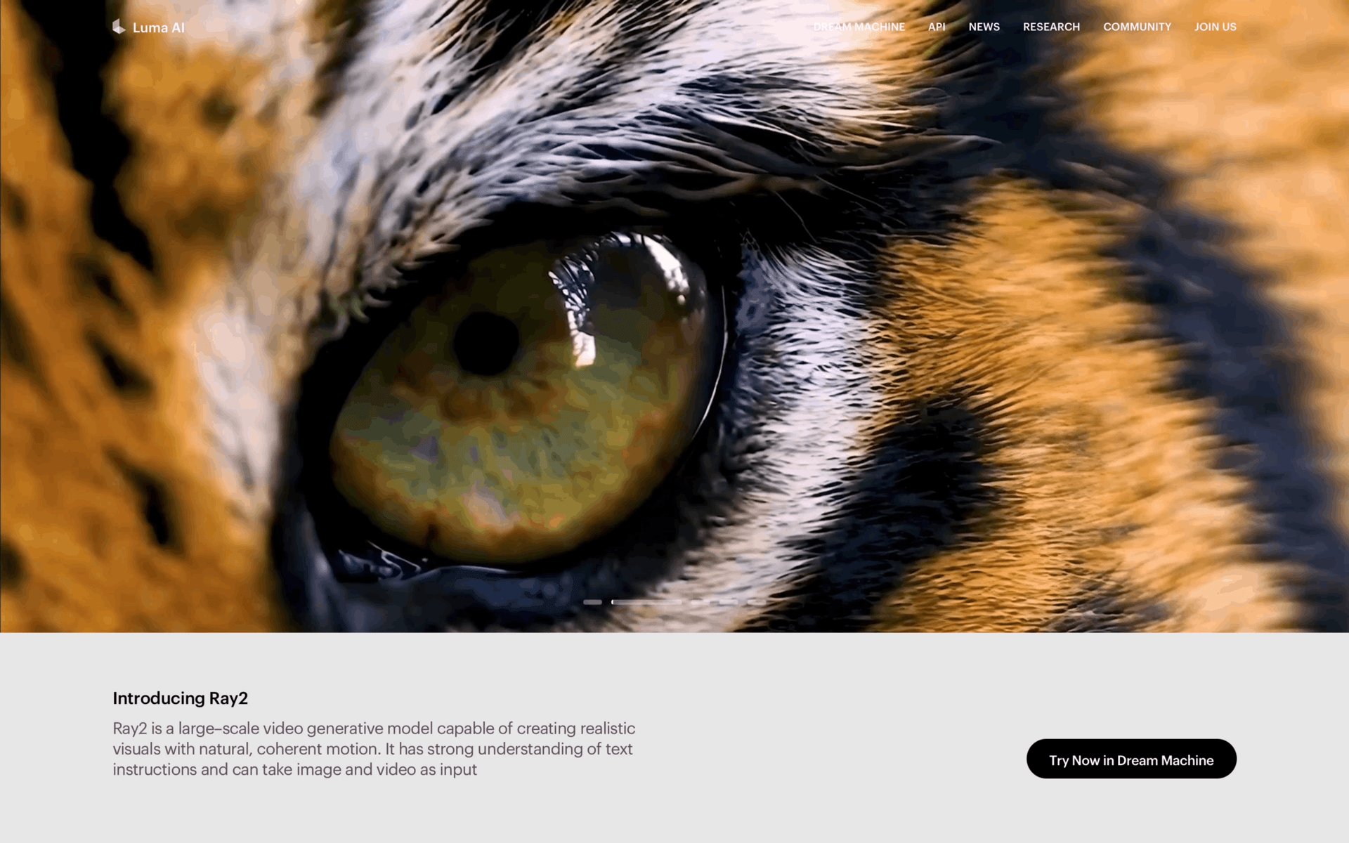 Luma AI Web Photo & Video interface screenshot 1