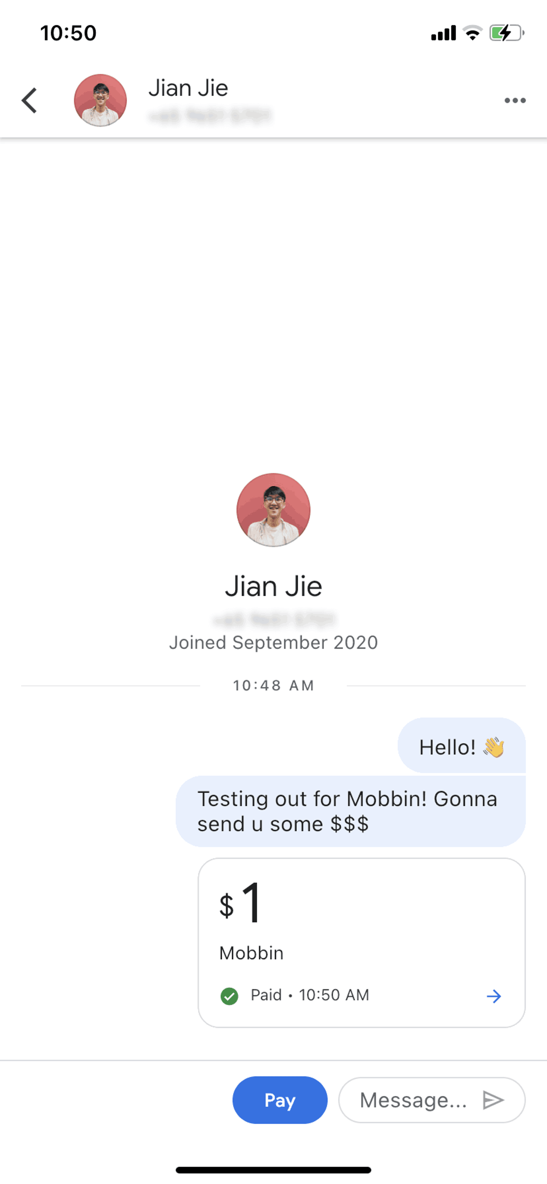 Google Pay iOS Finance interface screenshot 20