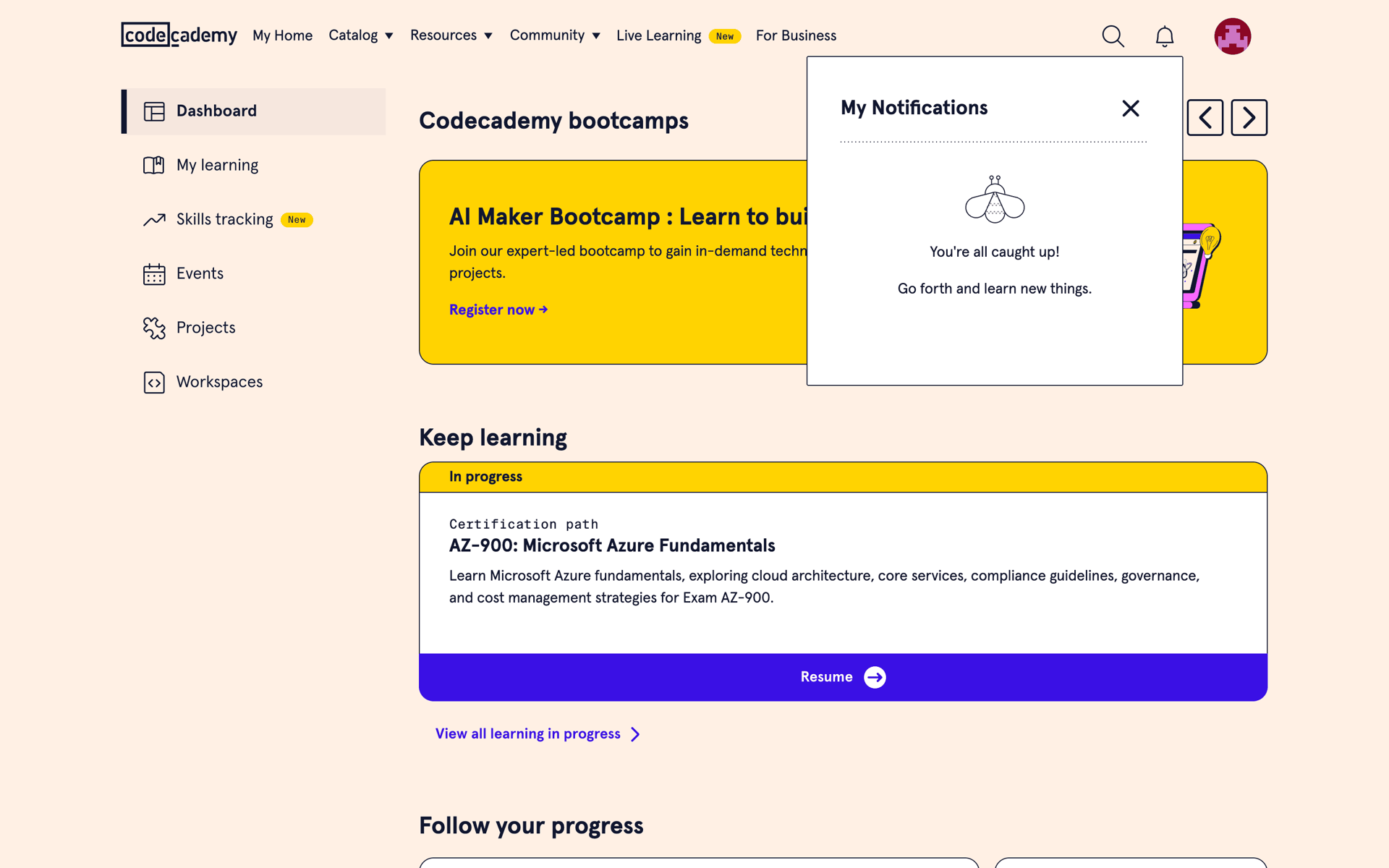 Codecademy Web AI interface screenshot 11