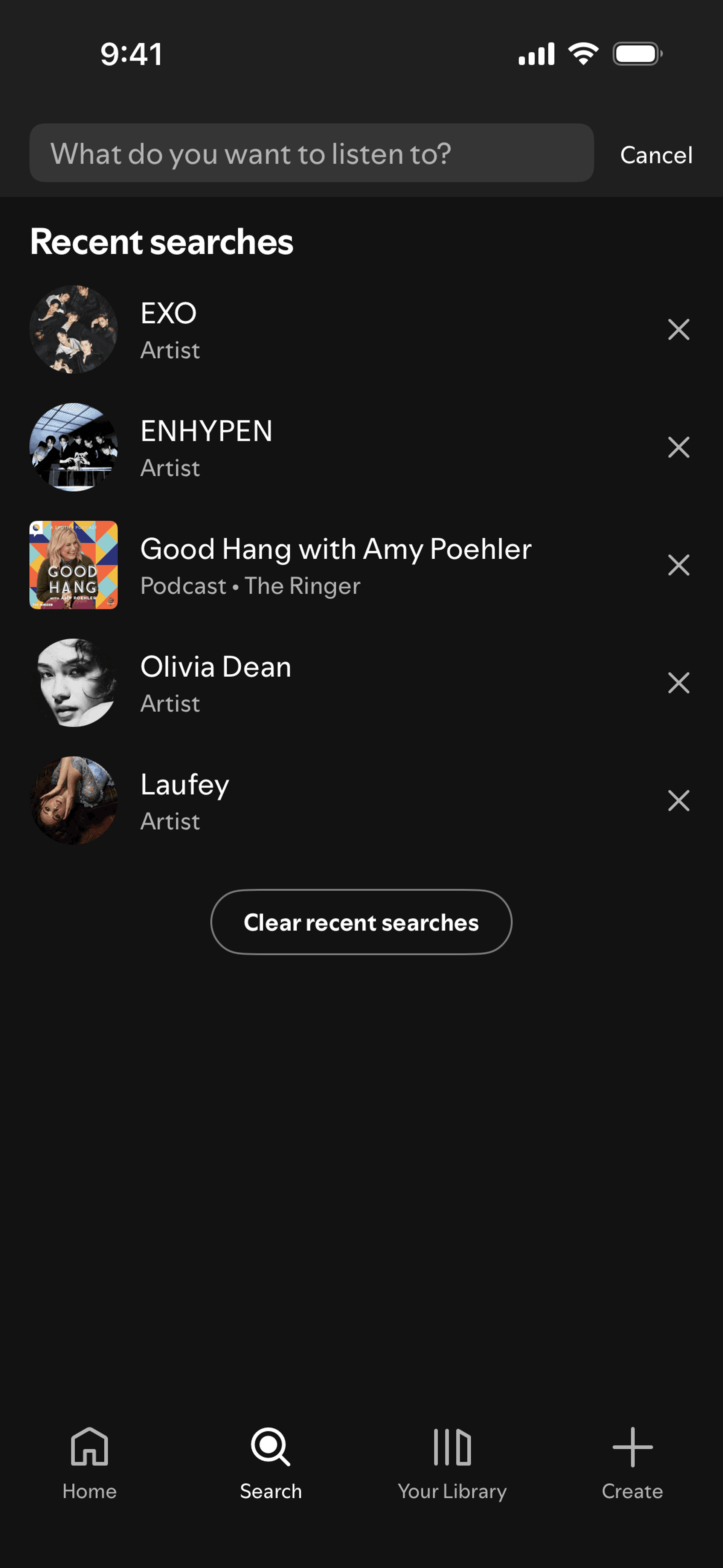 Spotify iOS Music & Audio interface screenshot 2