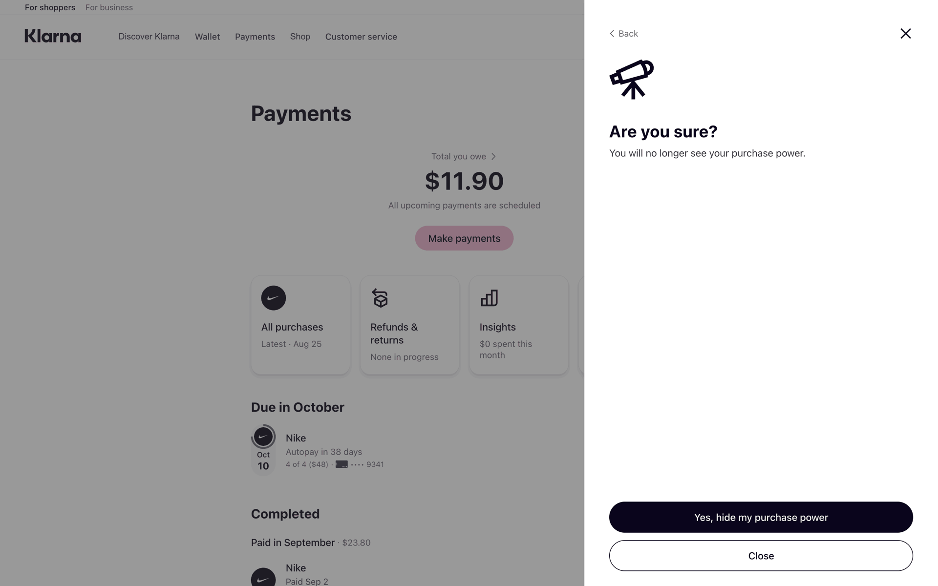 Klarna Web Finance interface screenshot 22