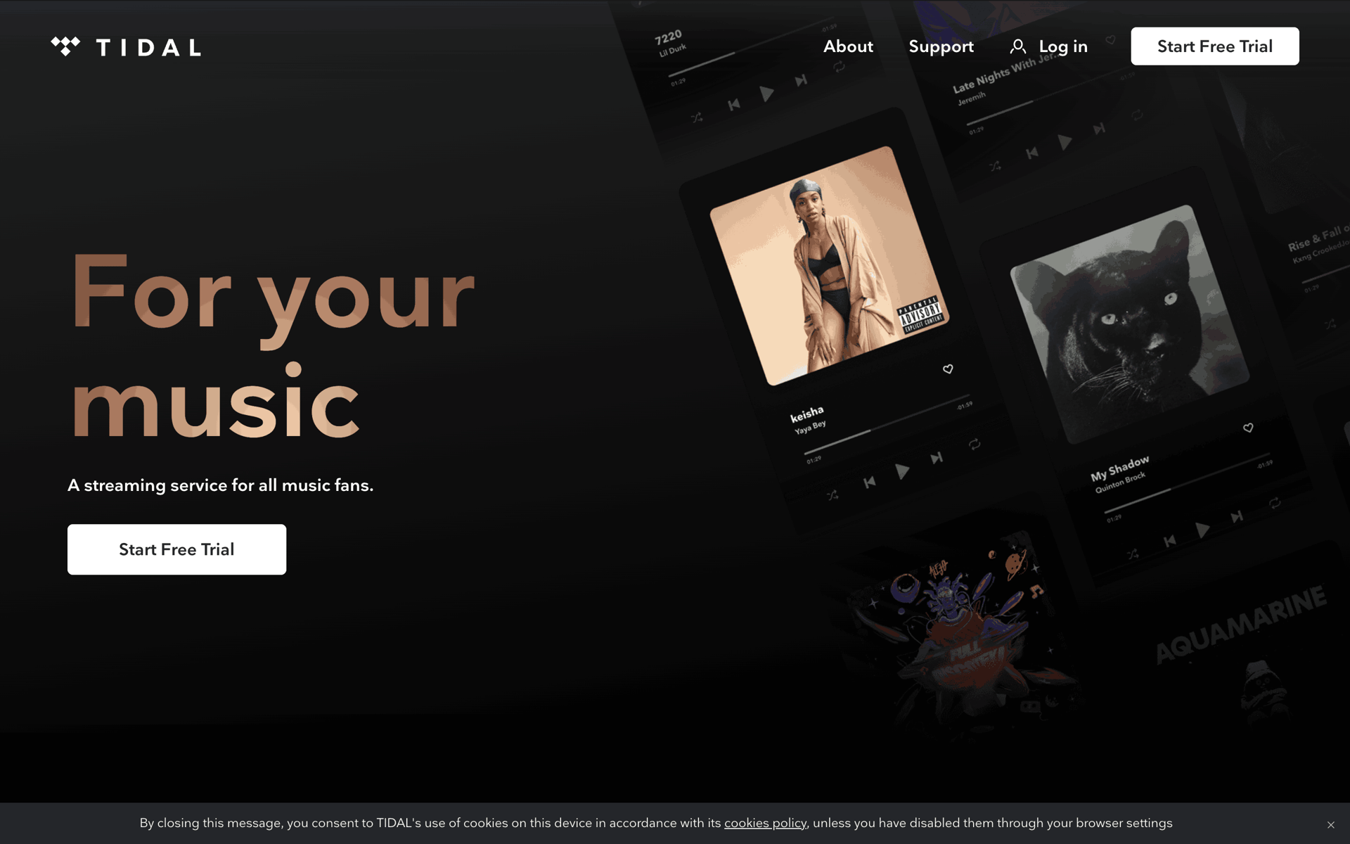 TIDAL Web Music & Audio interface screenshot 1