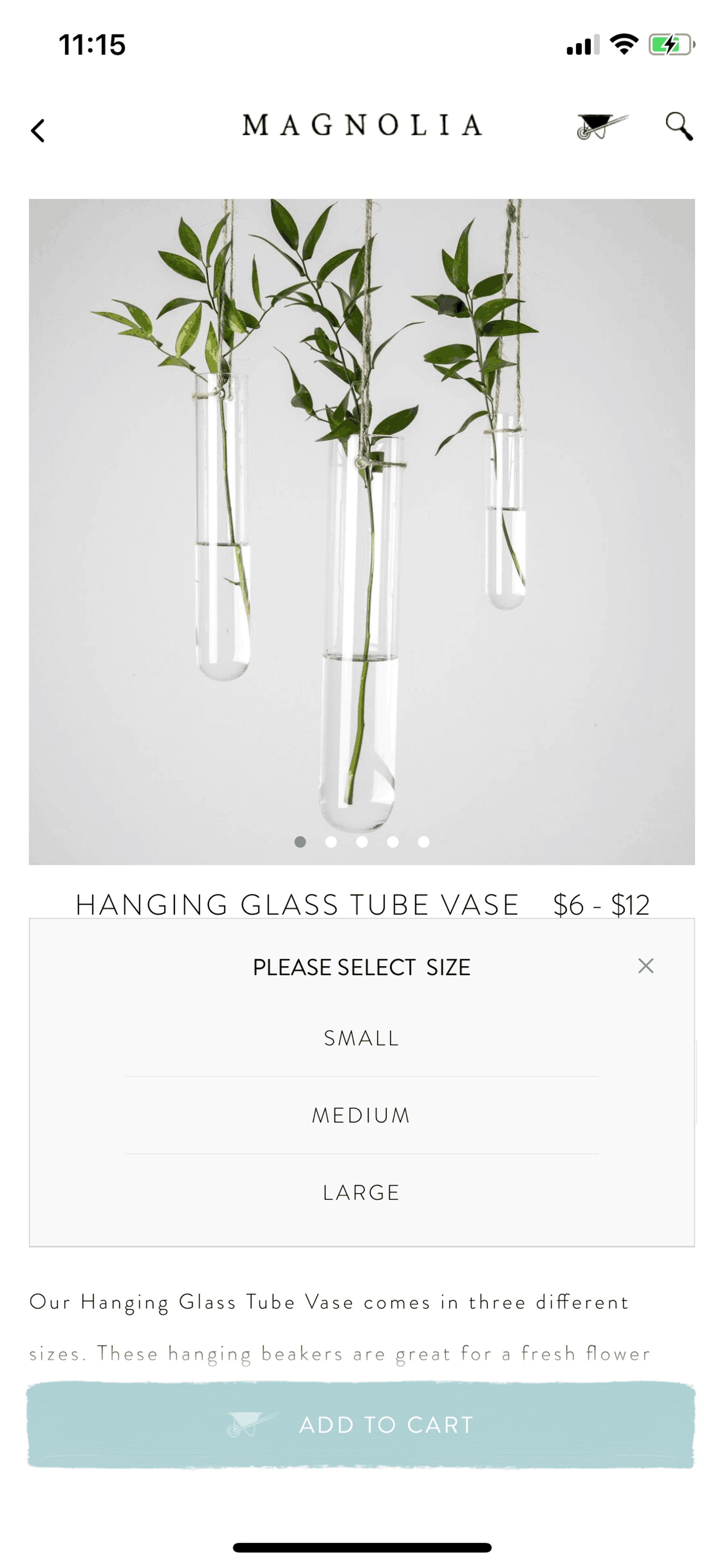 Magnolia Market iOS Shopping interface screenshot 9