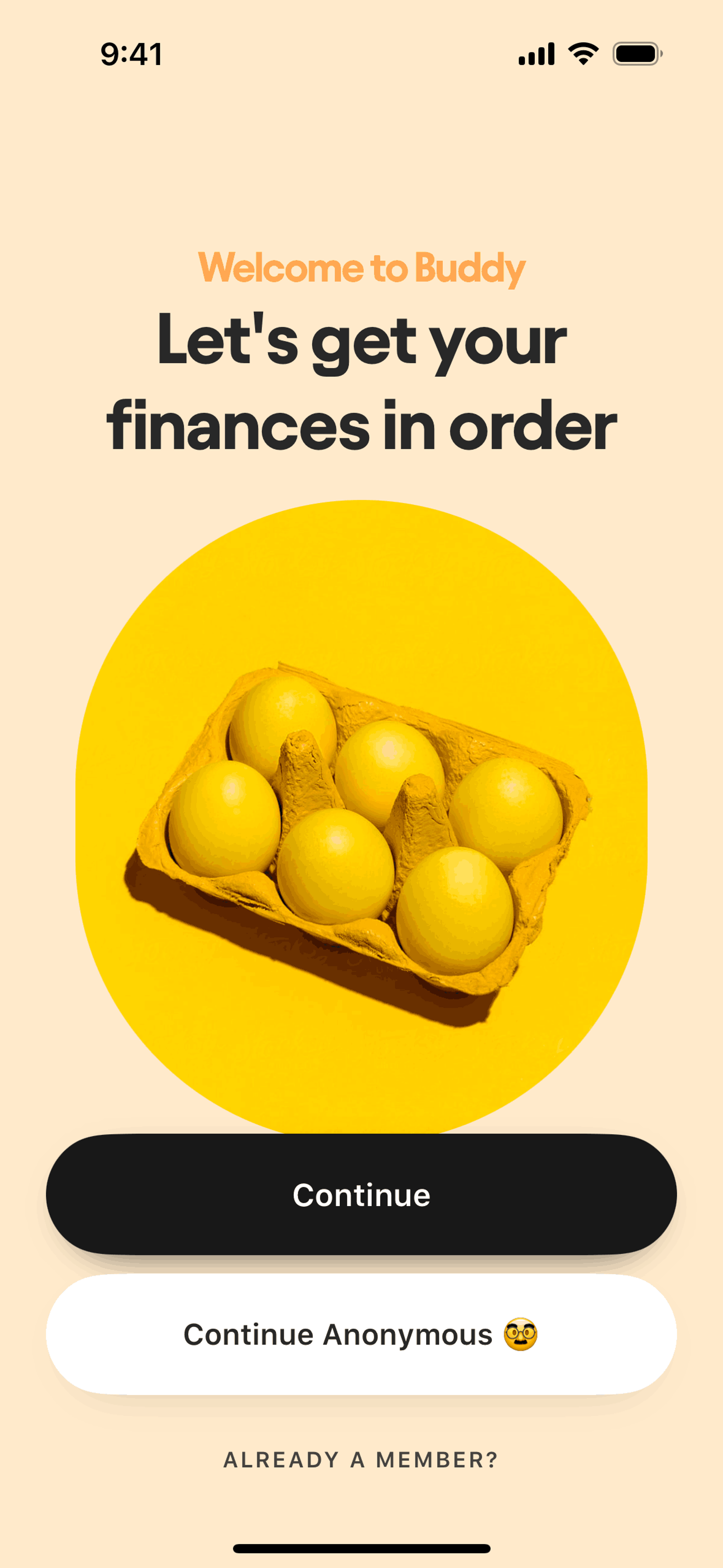 Buddy iOS Finance interface screenshot 2