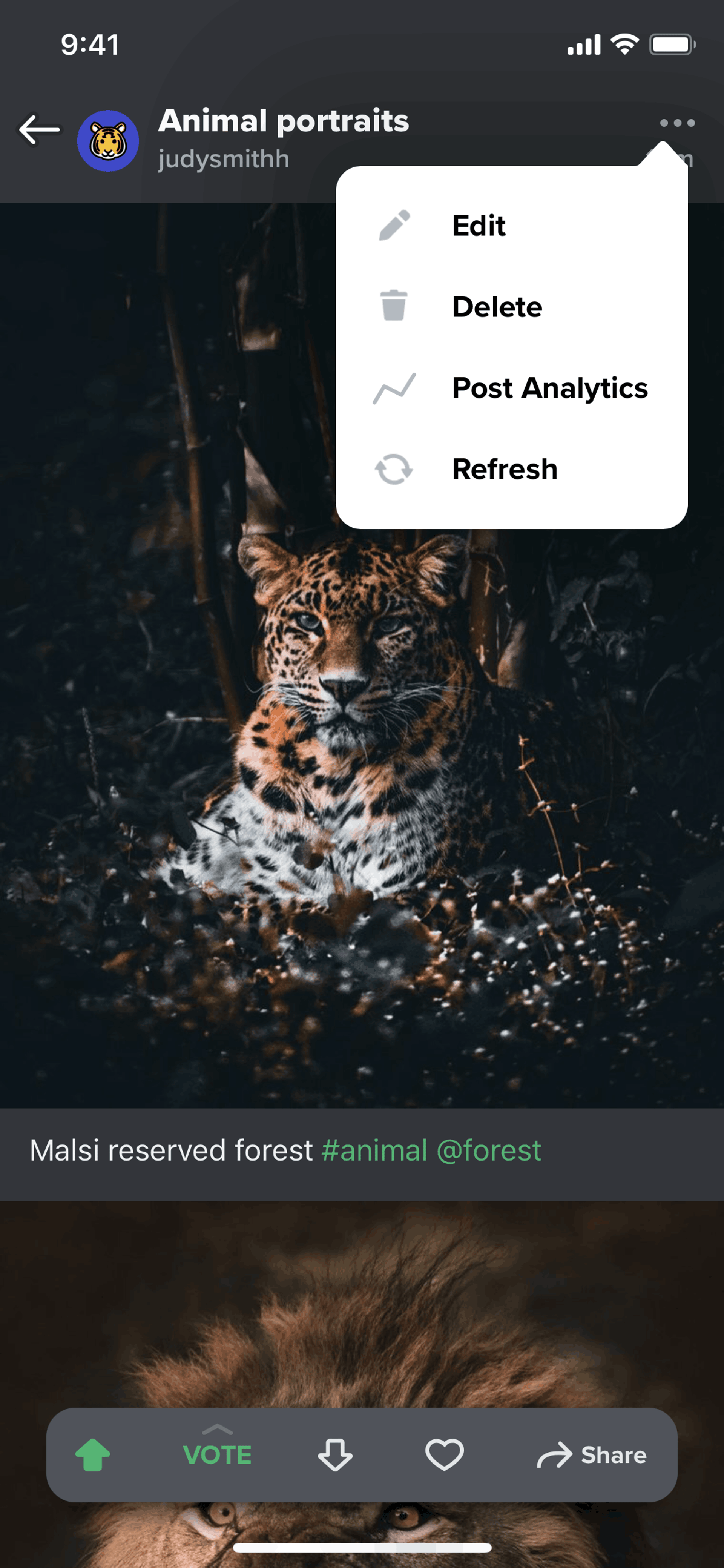 Imgur iOS Photo & Video interface screenshot 24