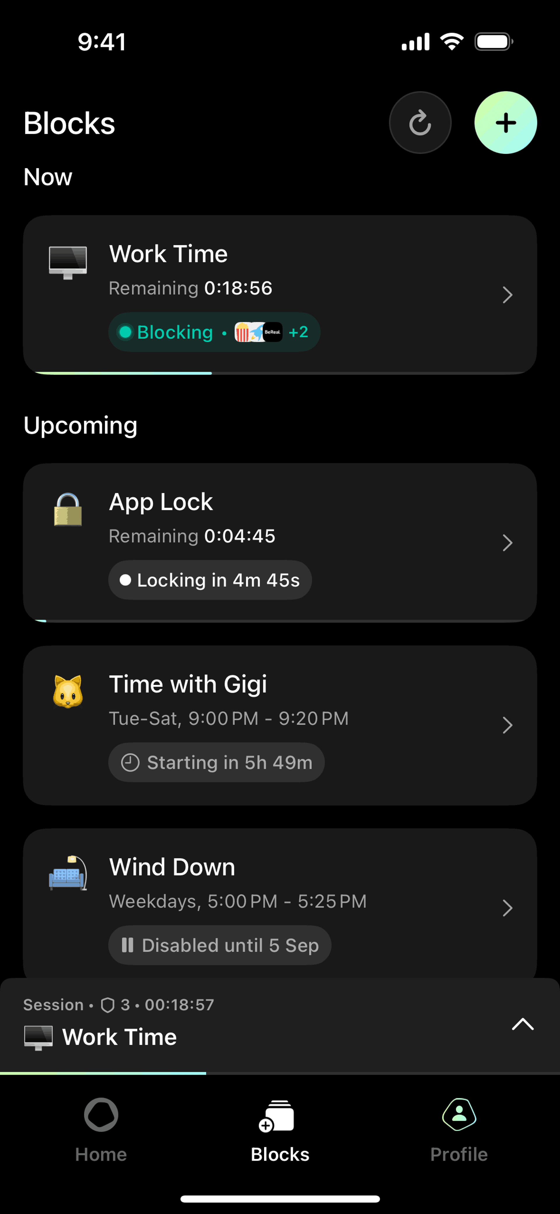 Opal iOS Productivity interface screenshot 21