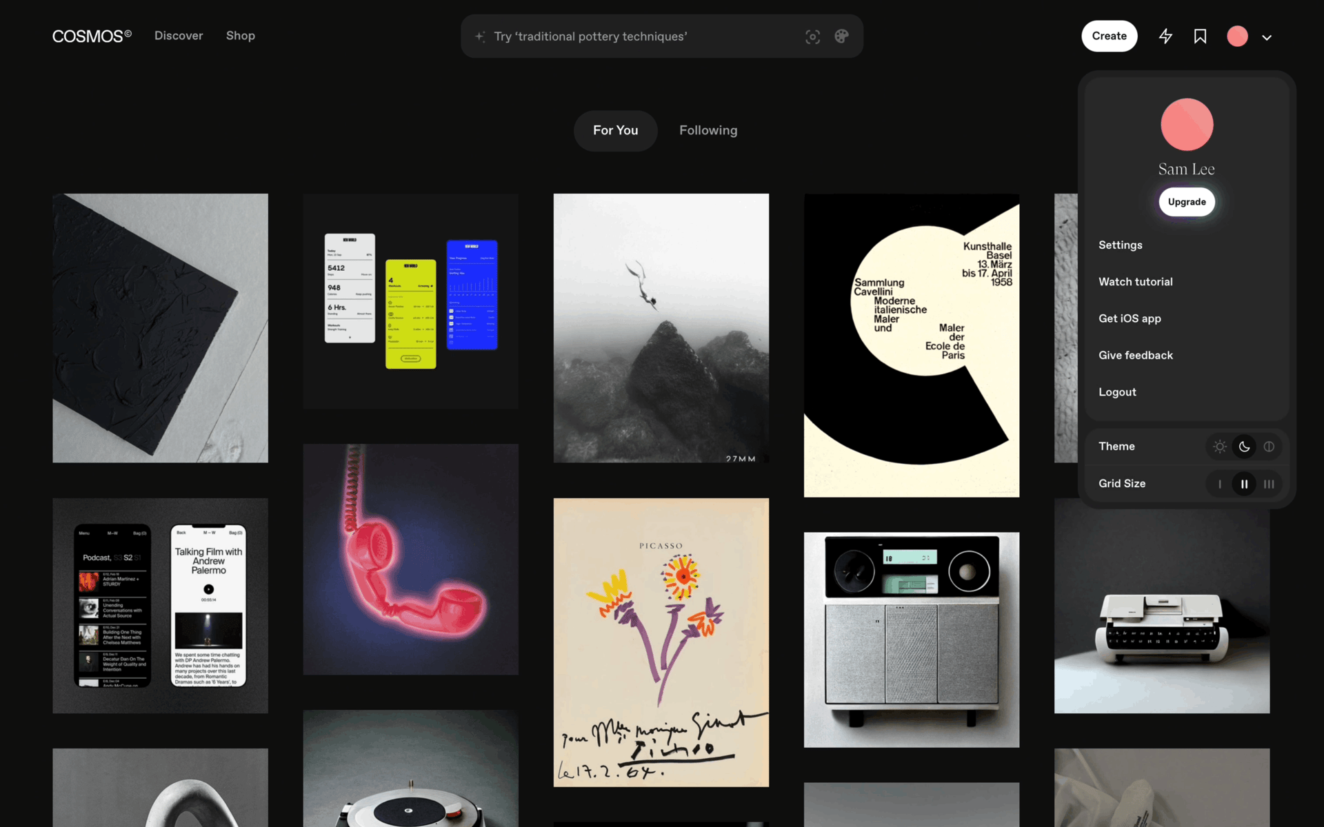 Cosmos Web Photo & Video interface screenshot 11