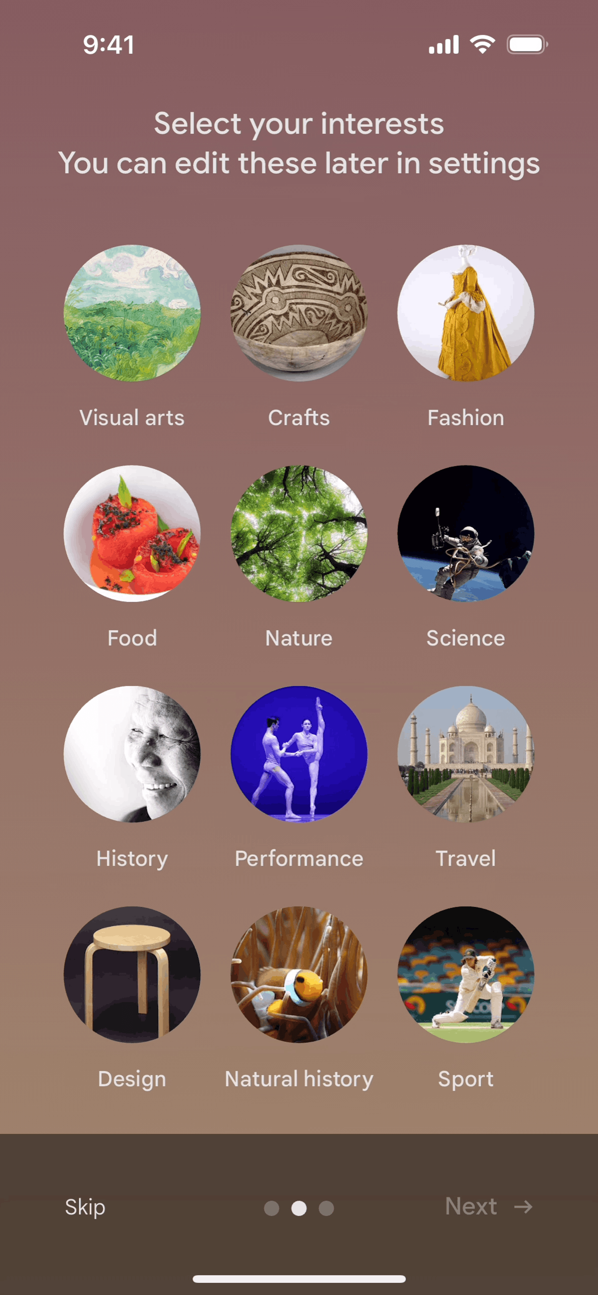 Google Arts & Culture iOS Education interface screenshot 5