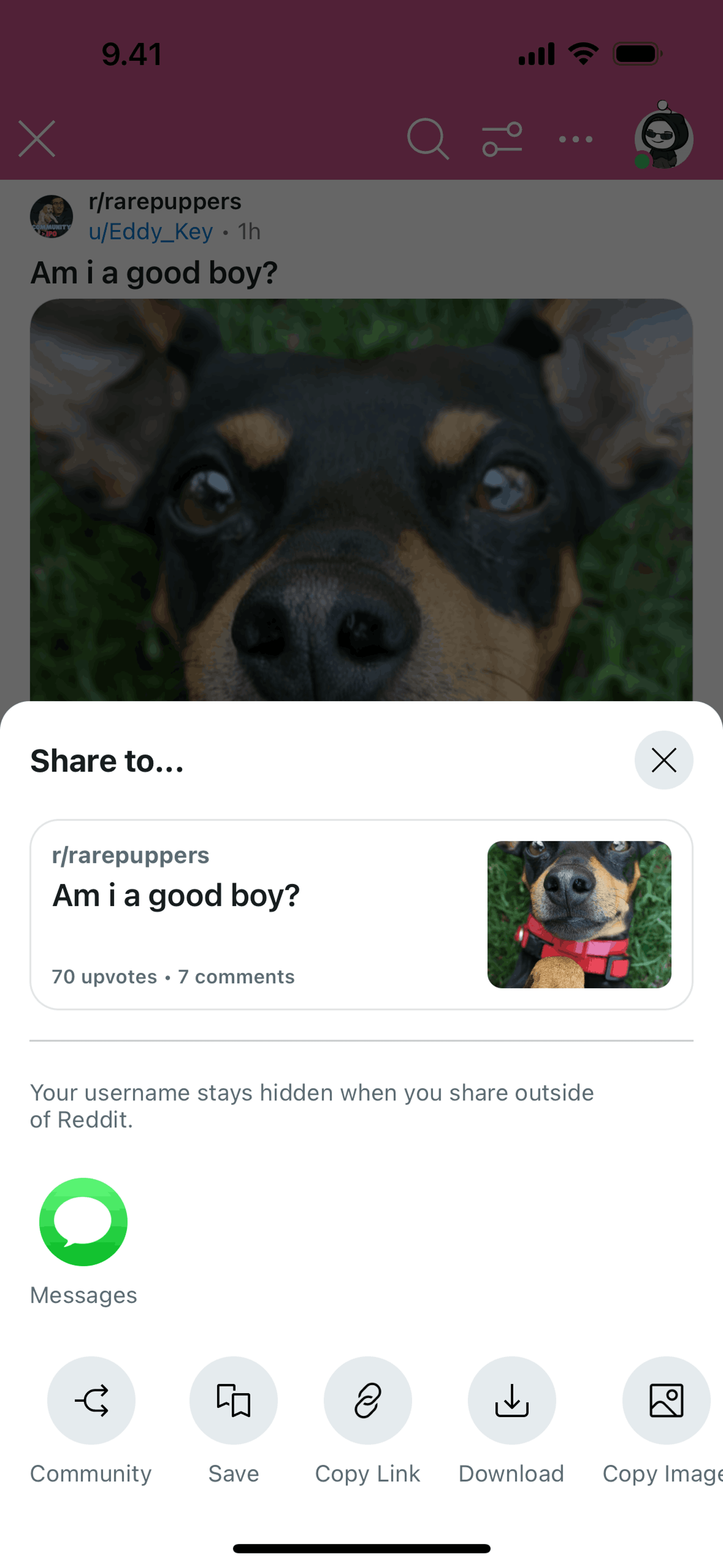 Reddit iOS Social Networking interface screenshot 4