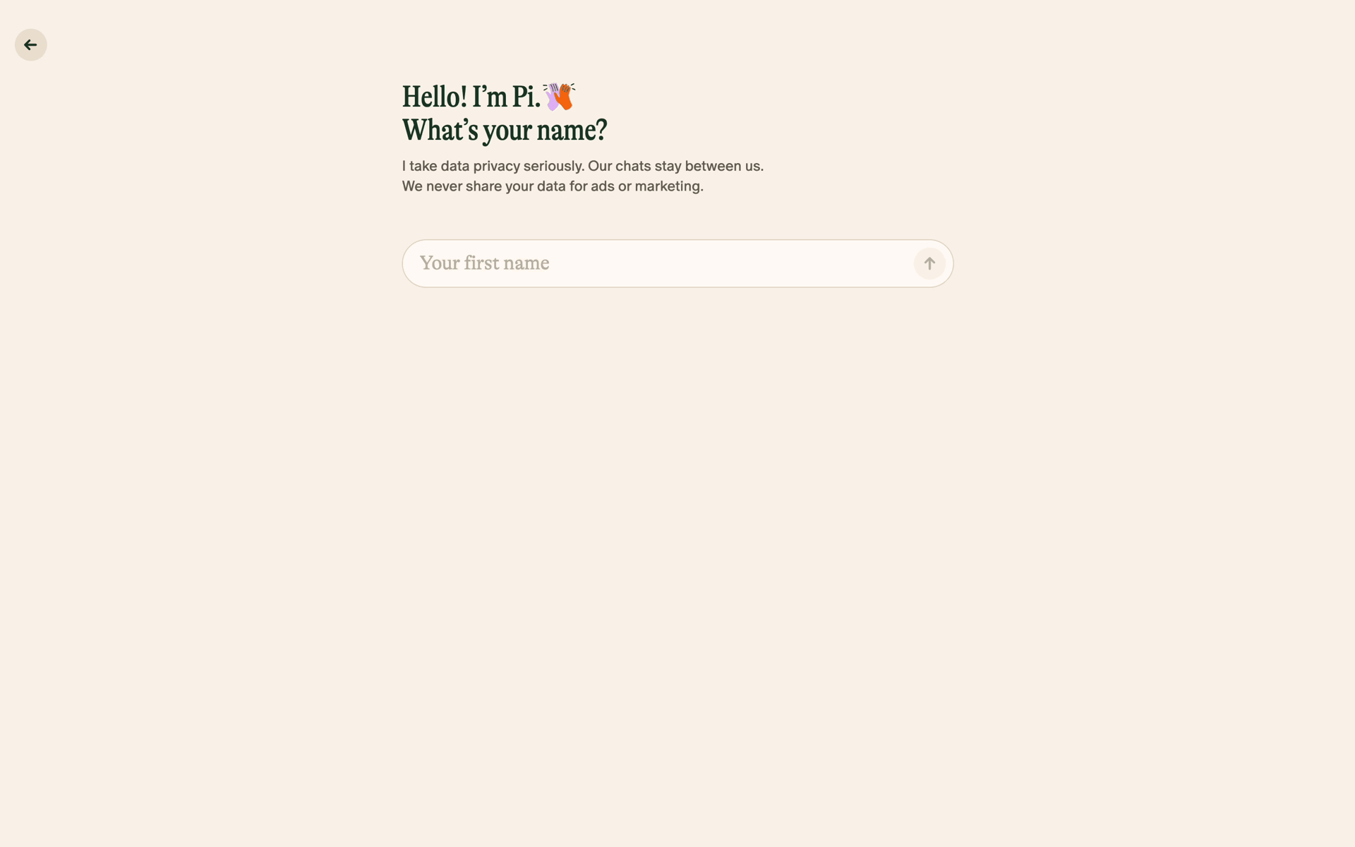 Pi Web AI interface screenshot 21
