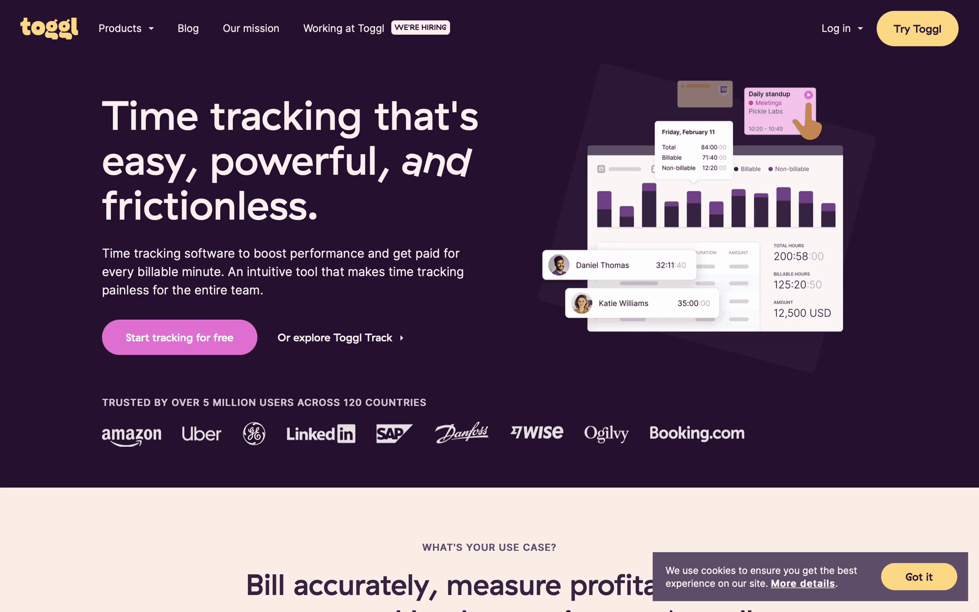 Toggl Track Web Business interface screenshot 12