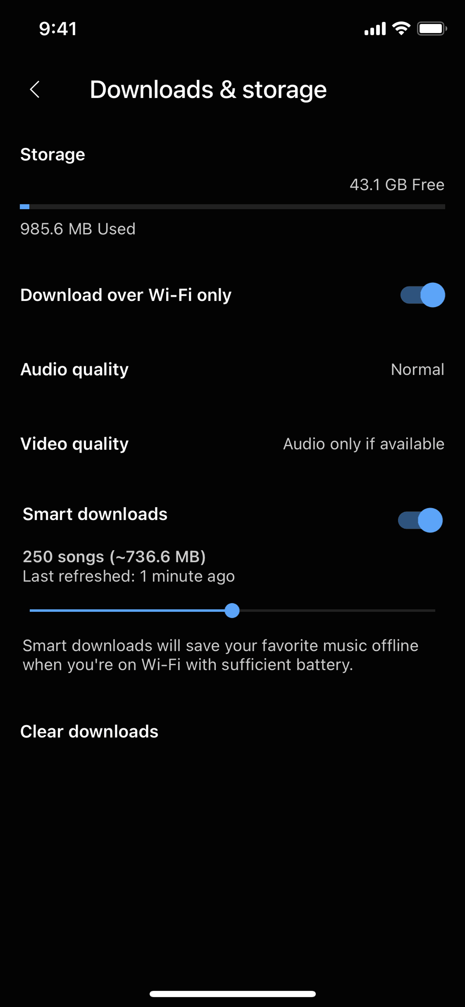 YouTube Music iOS Music & Audio interface screenshot 13