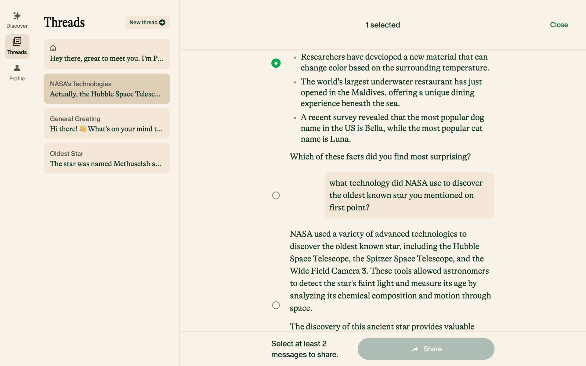 Pi Web AI interface screenshot 19