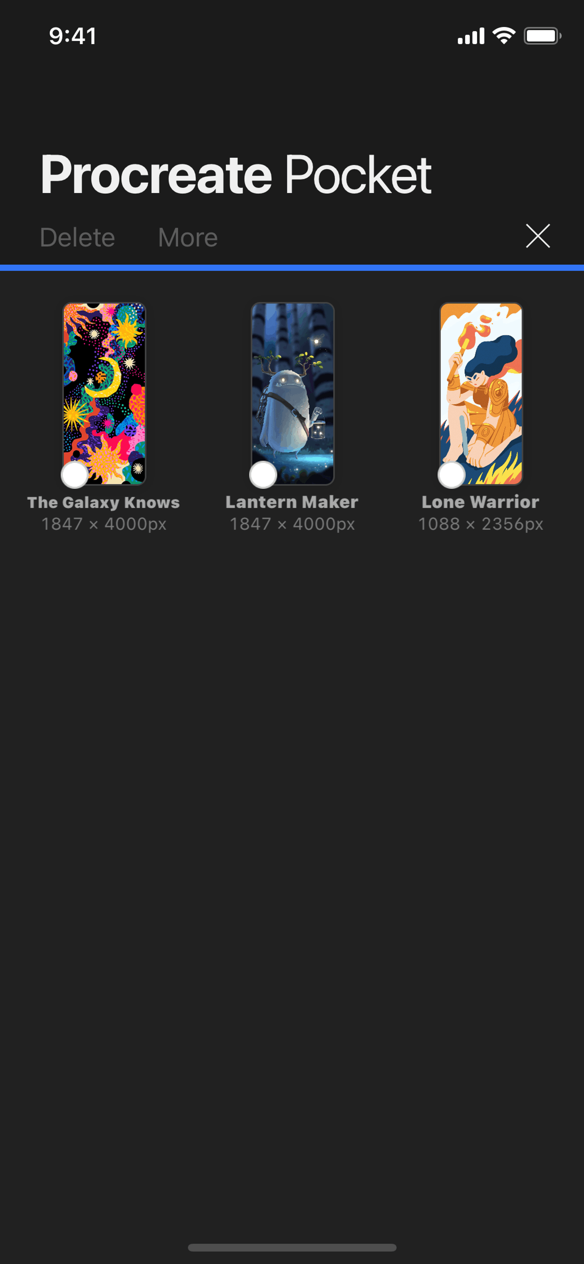 Procreate Pocket iOS Graphics & Design interface screenshot 6