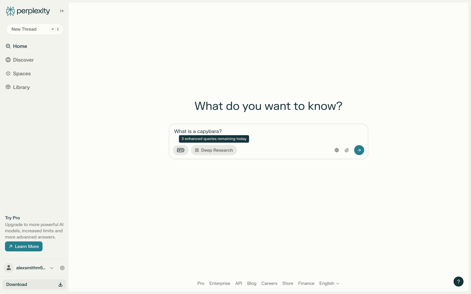 Perplexity Web AI interface screenshot 18