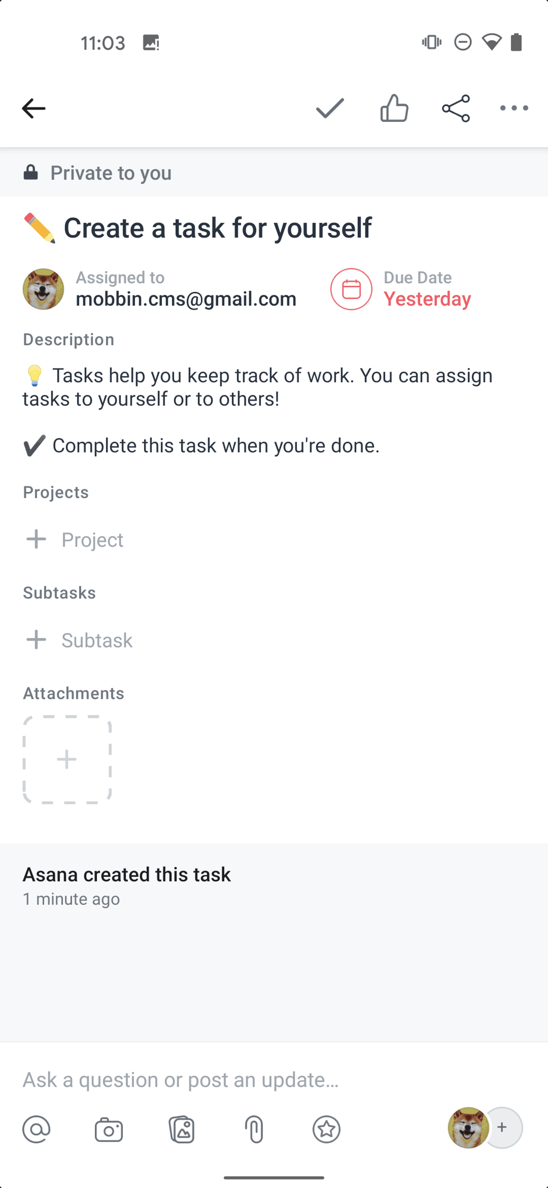 Asana Android Business interface screenshot 22