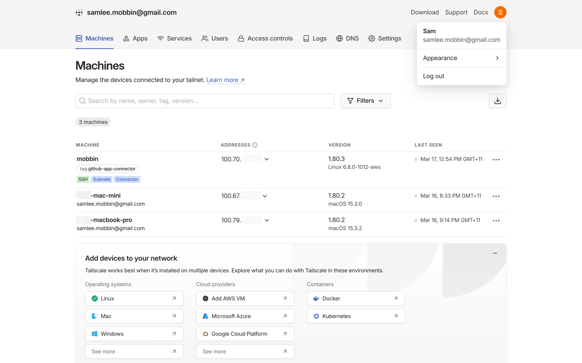 Tailscale Web Developer Tools interface screenshot 14
