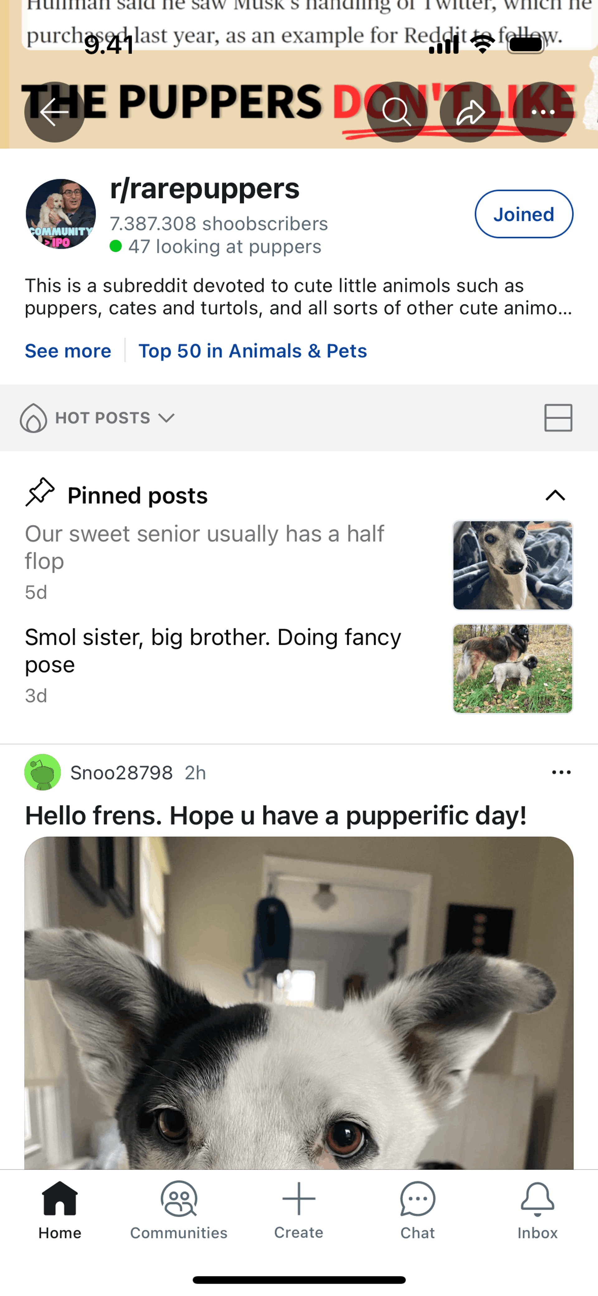 Reddit iOS Social Networking interface screenshot 6