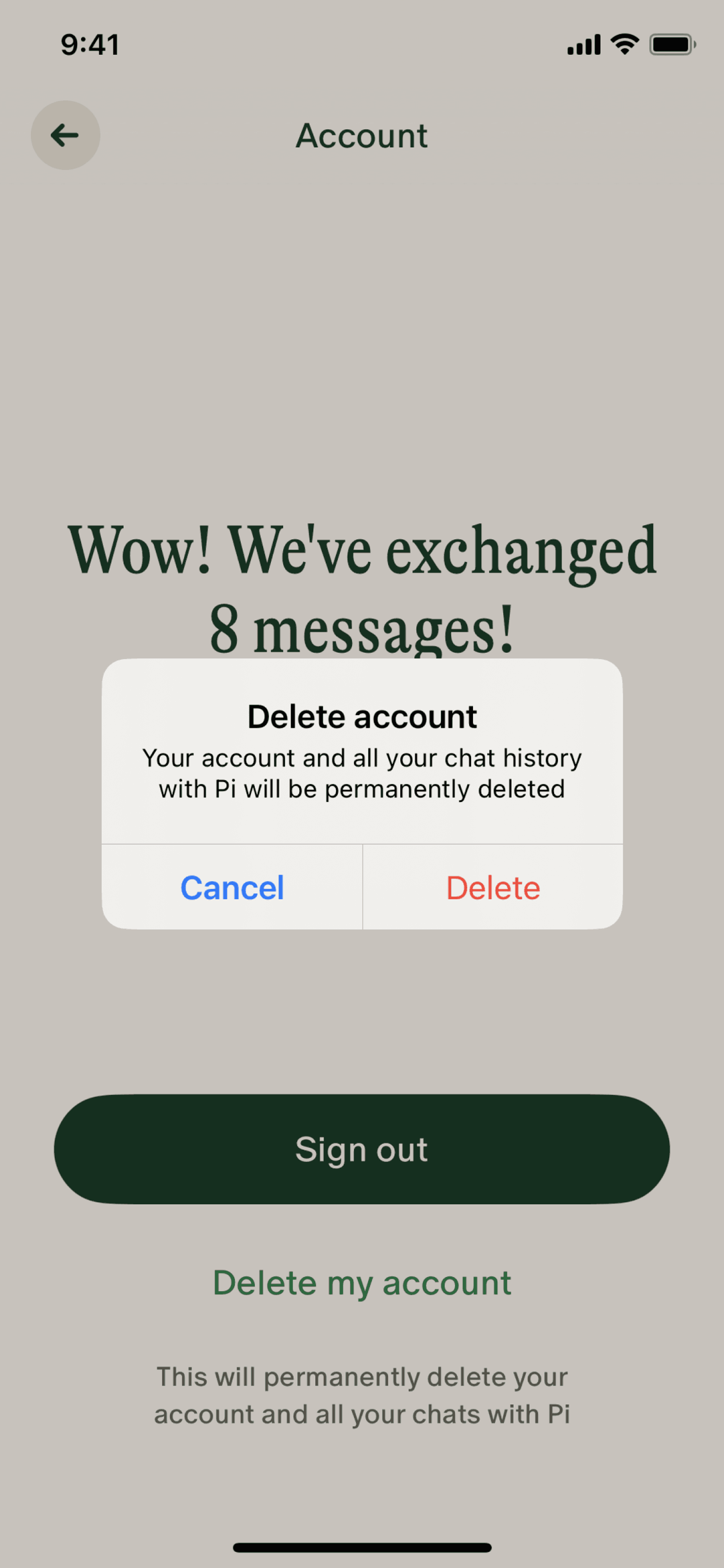 Pi iOS AI interface screenshot 10