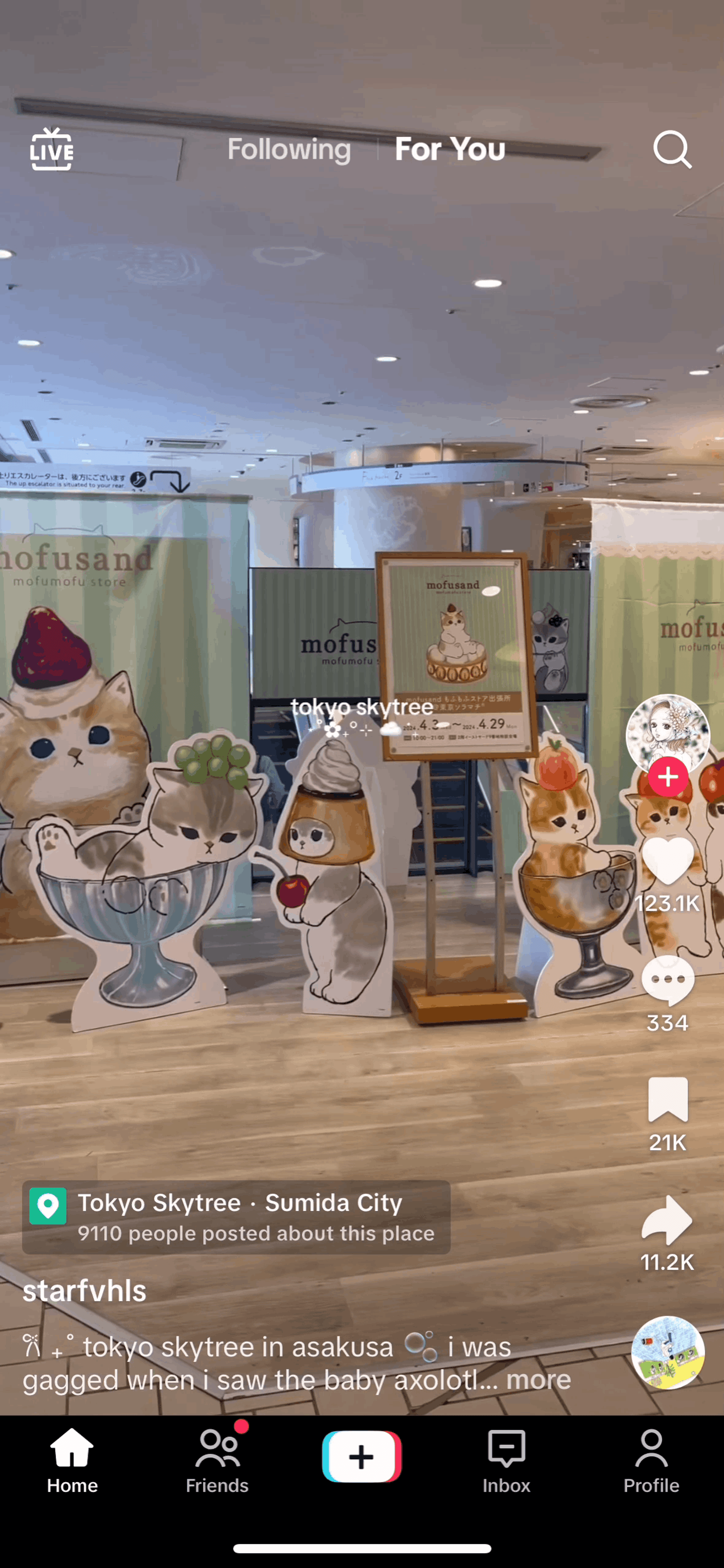 TikTok iOS Social Networking interface screenshot 6
