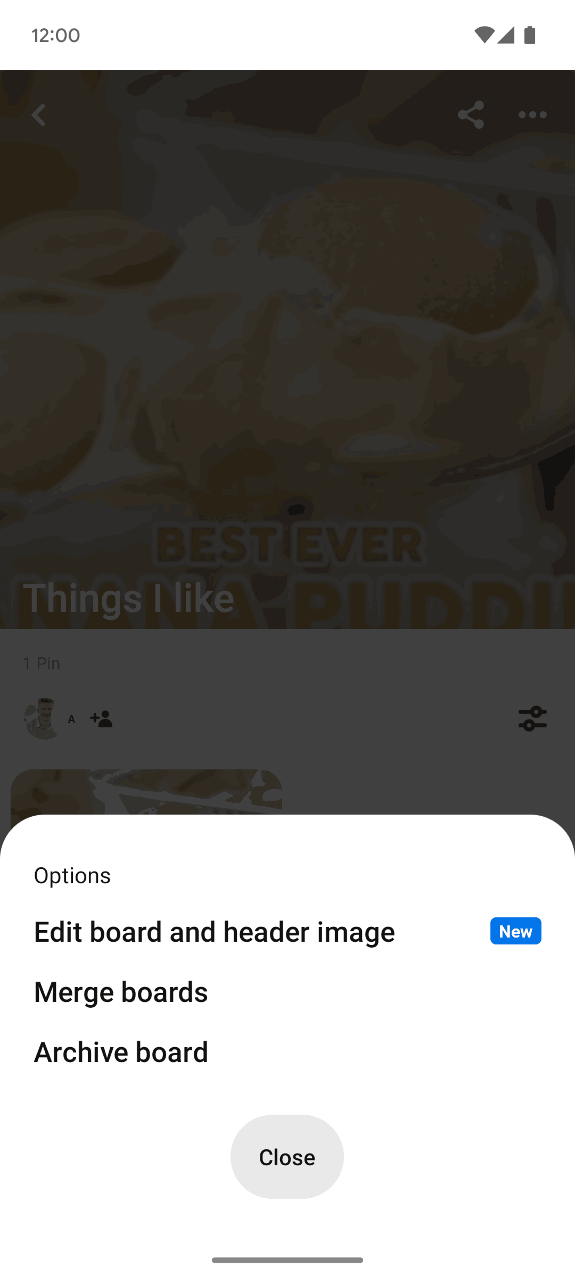 Pinterest Android Lifestyle interface screenshot 19