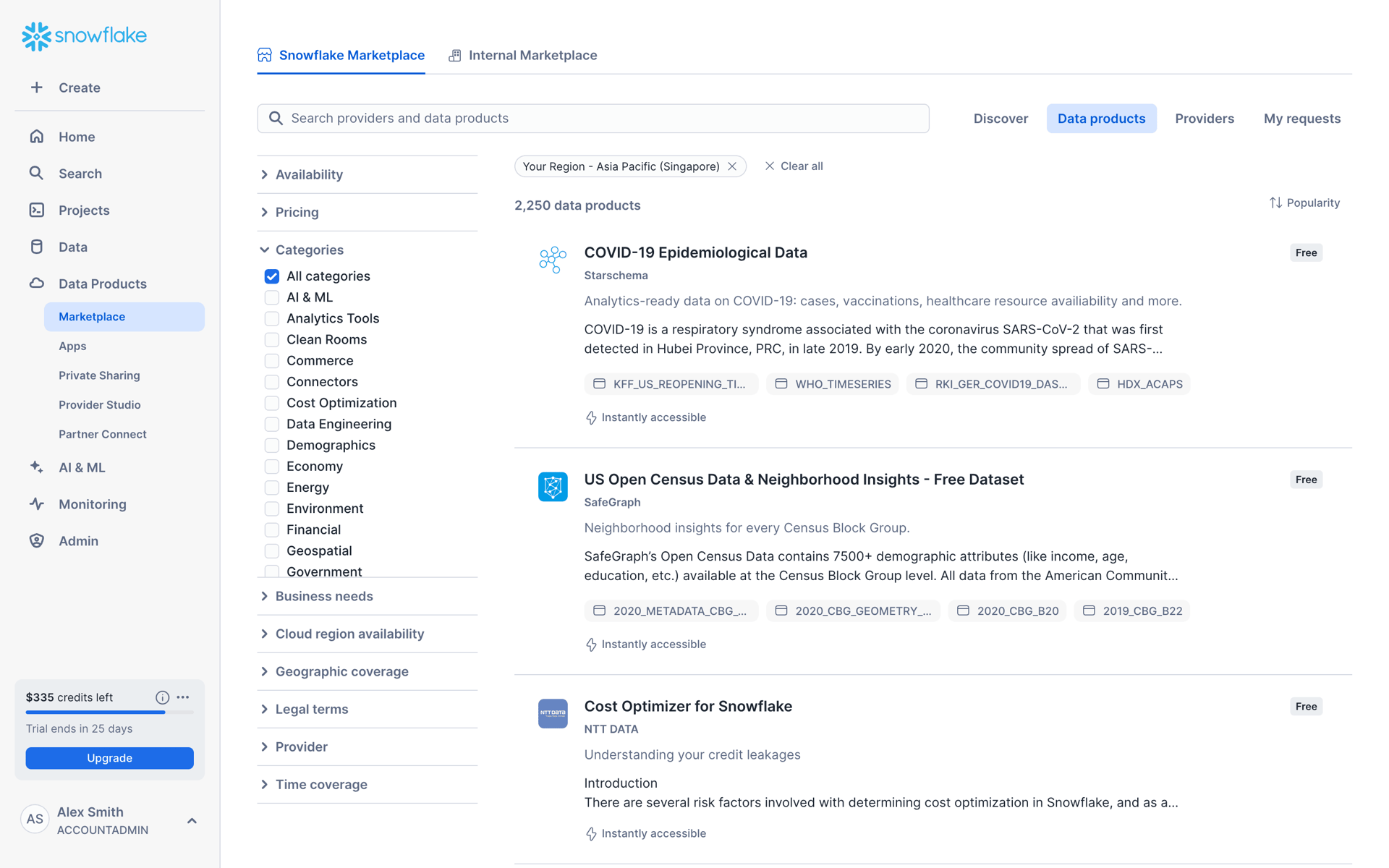 Snowflake Web Developer Tools interface screenshot 16