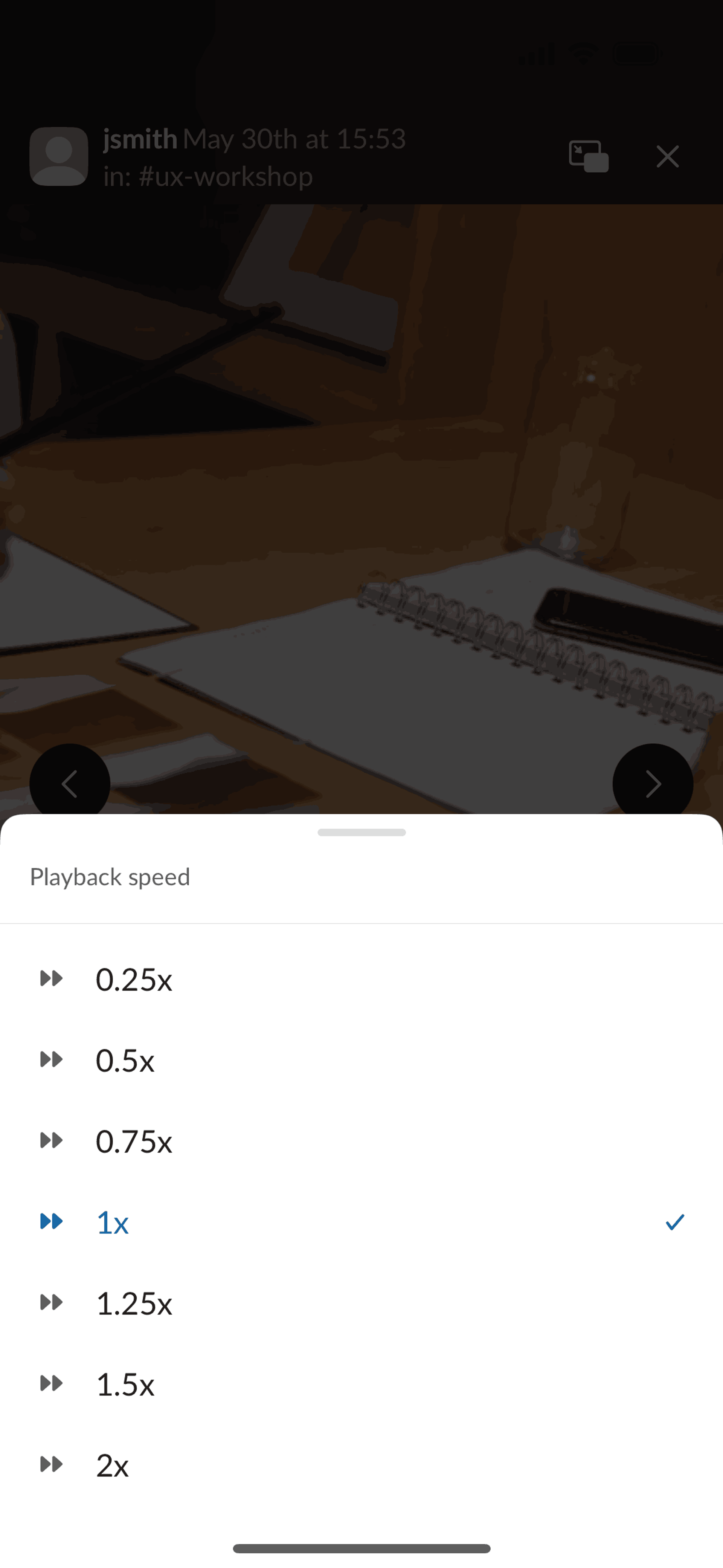 Slack iOS Business interface screenshot 12