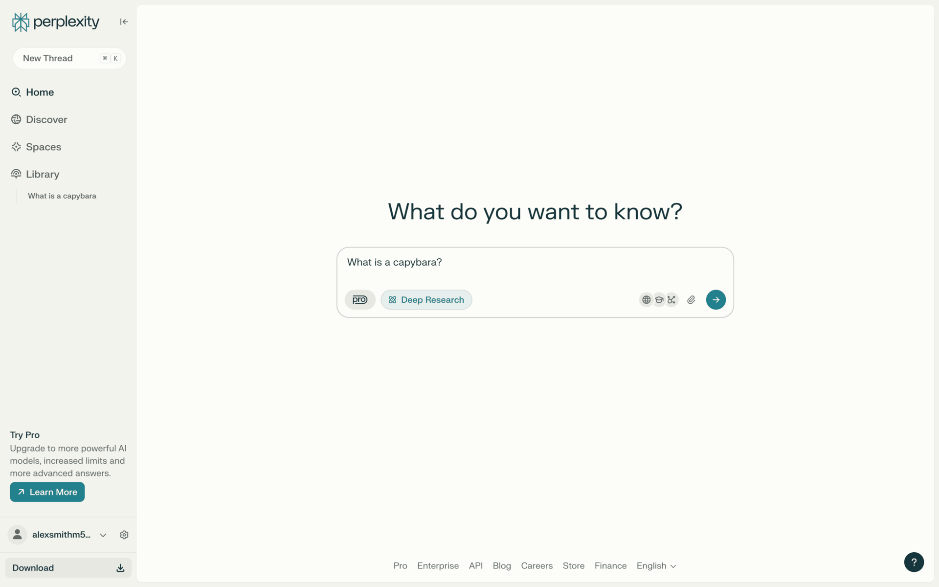 Perplexity Web AI interface screenshot 20