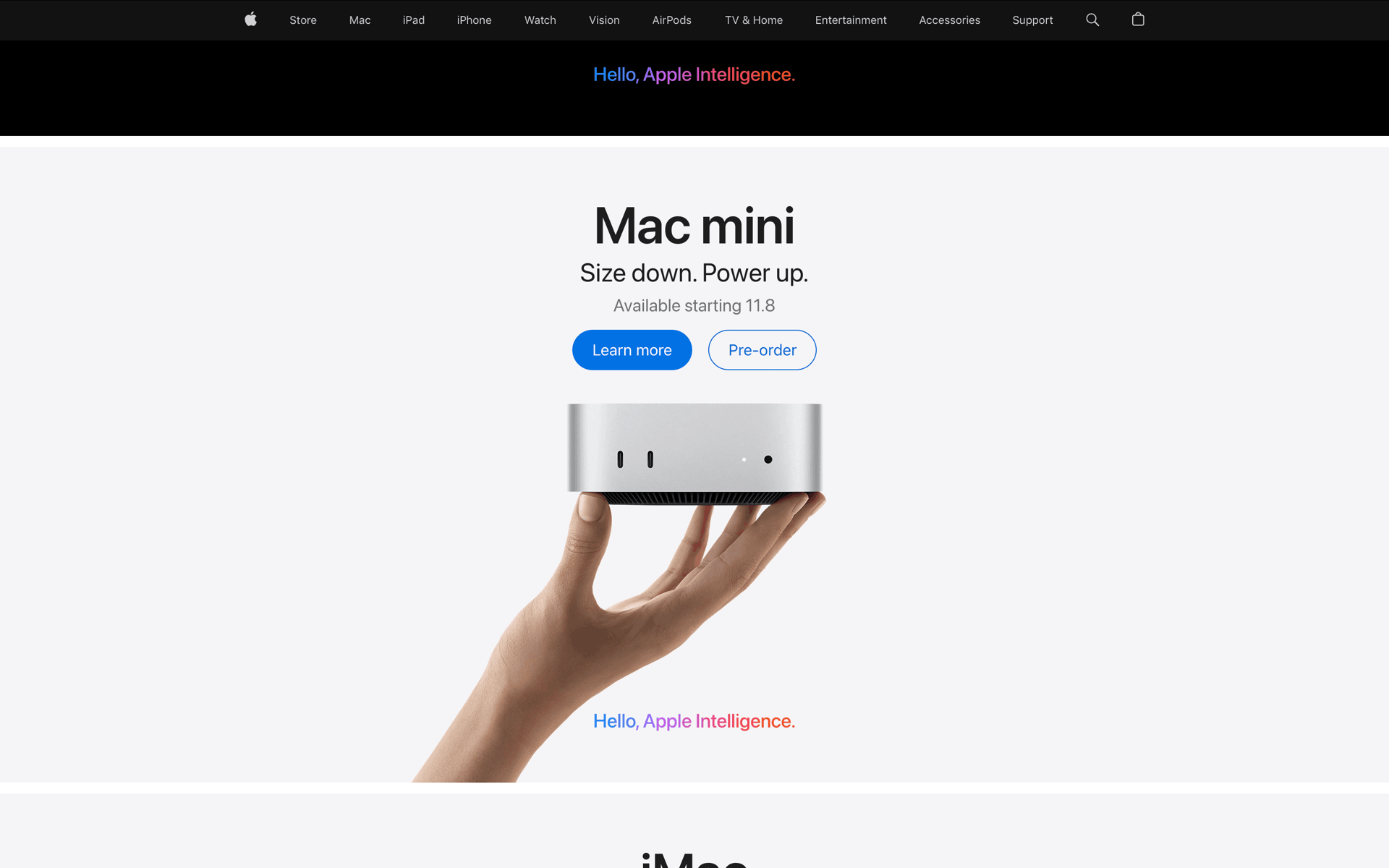 Apple Web Shopping interface screenshot 14